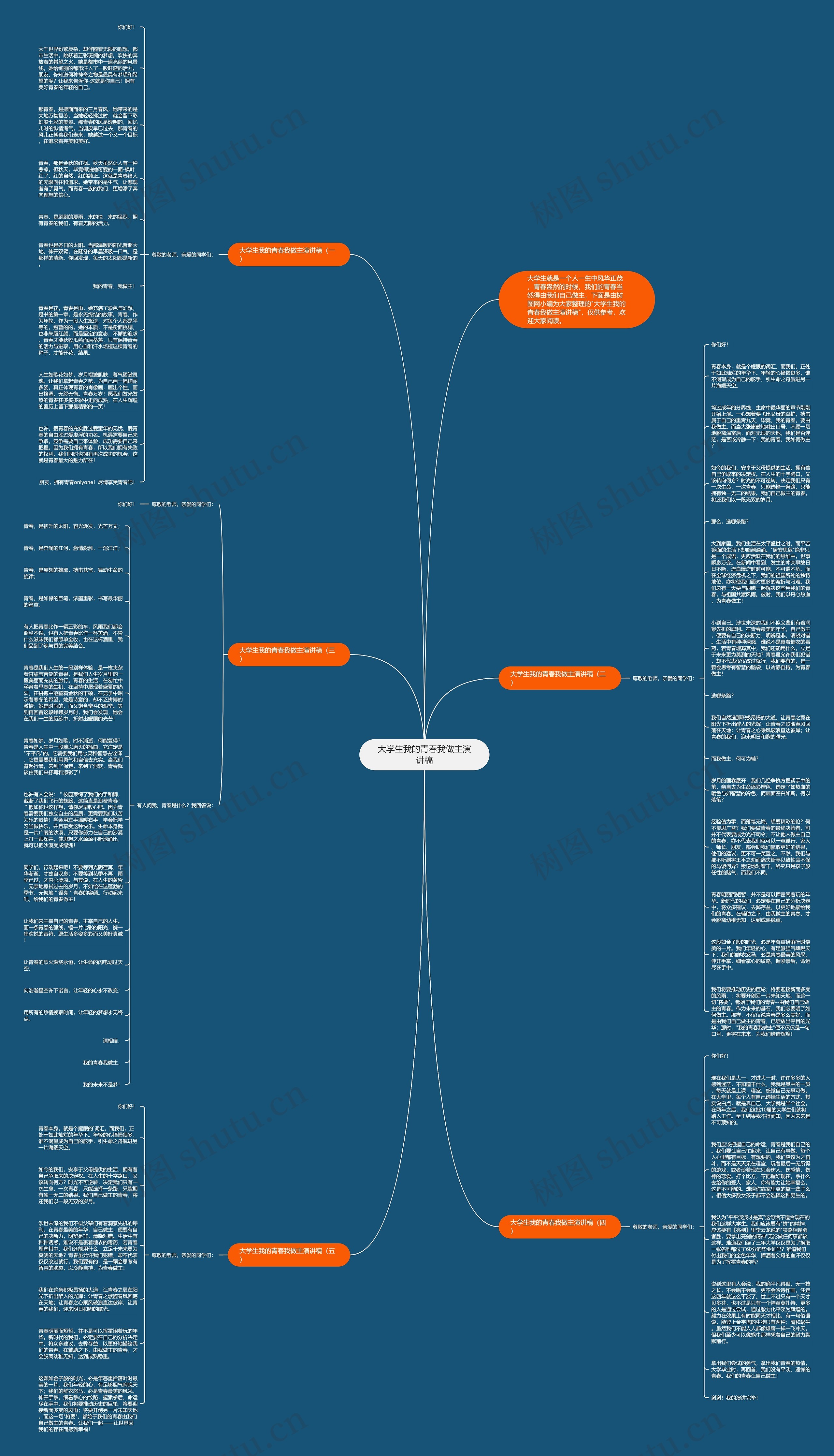 大学生我的青春我做主演讲稿思维导图