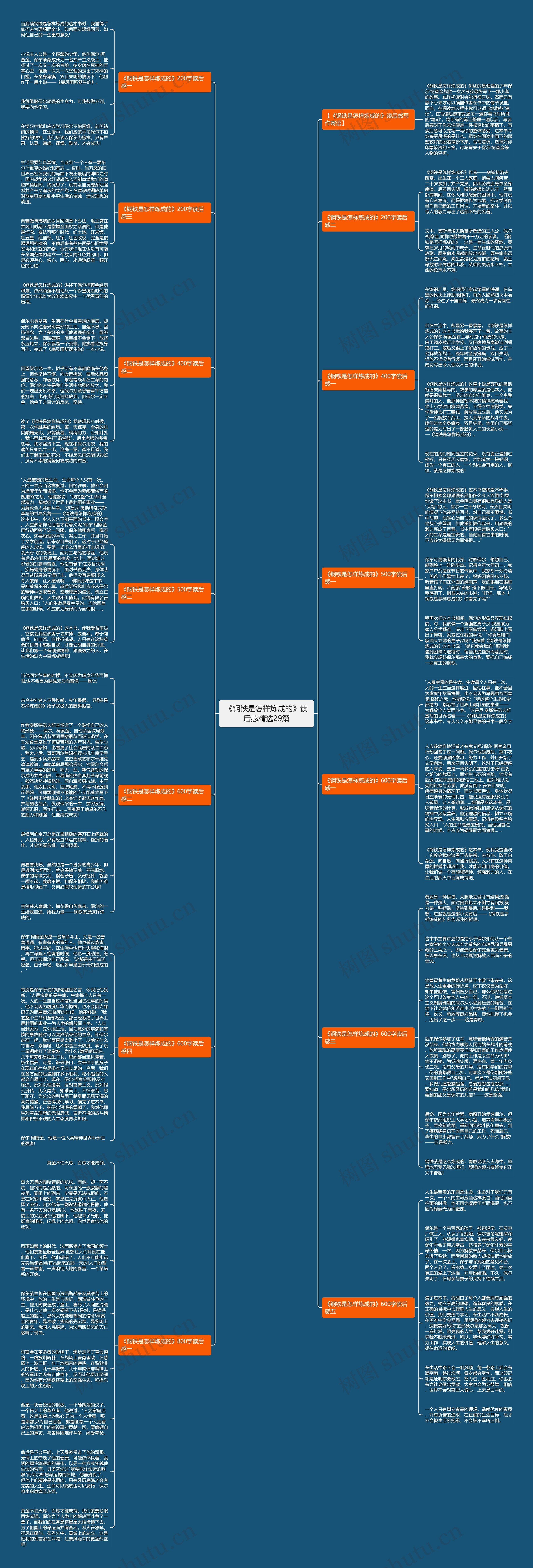 《钢铁是怎样炼成的》读后感精选29篇思维导图