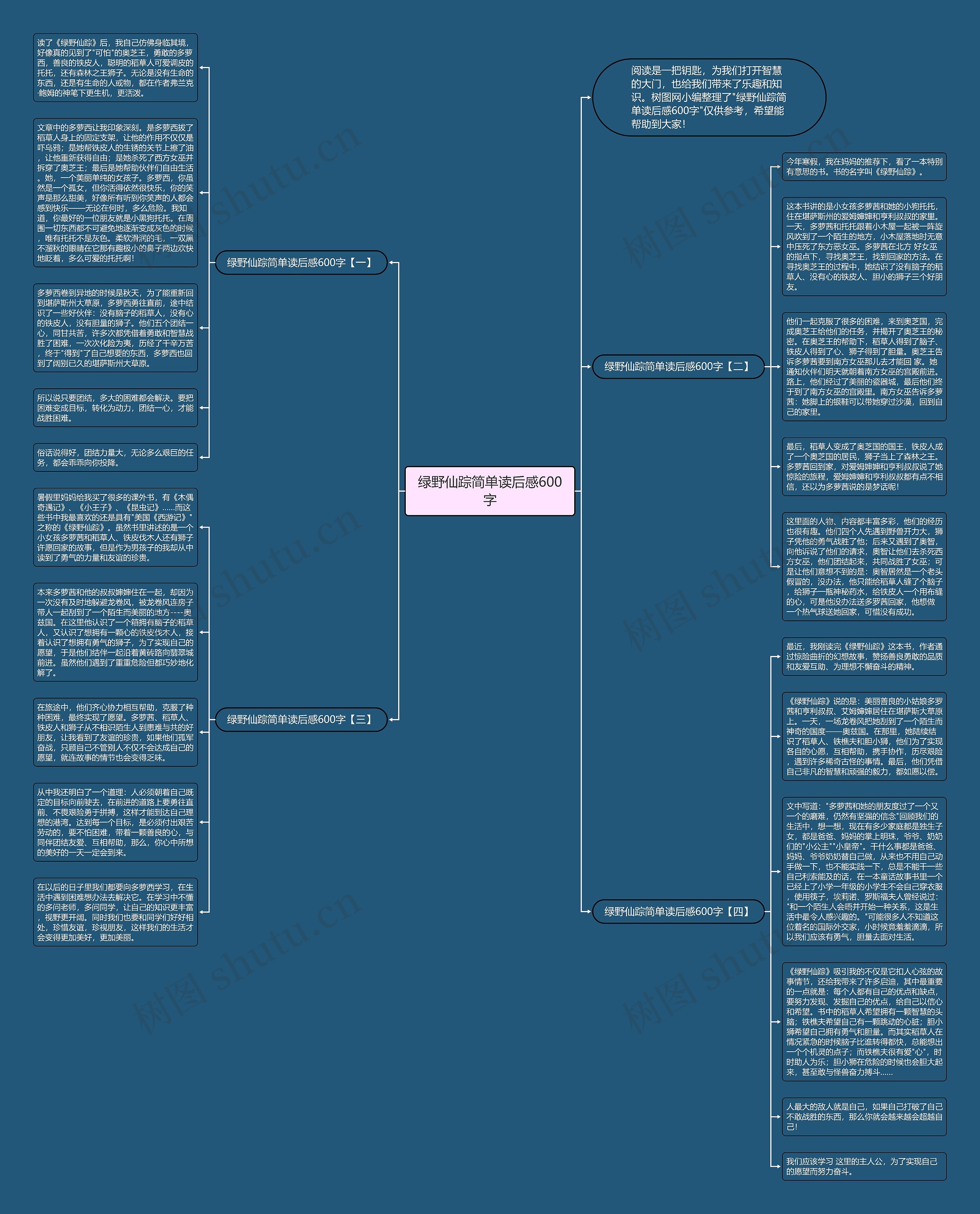 绿野仙踪简单读后感600字思维导图
