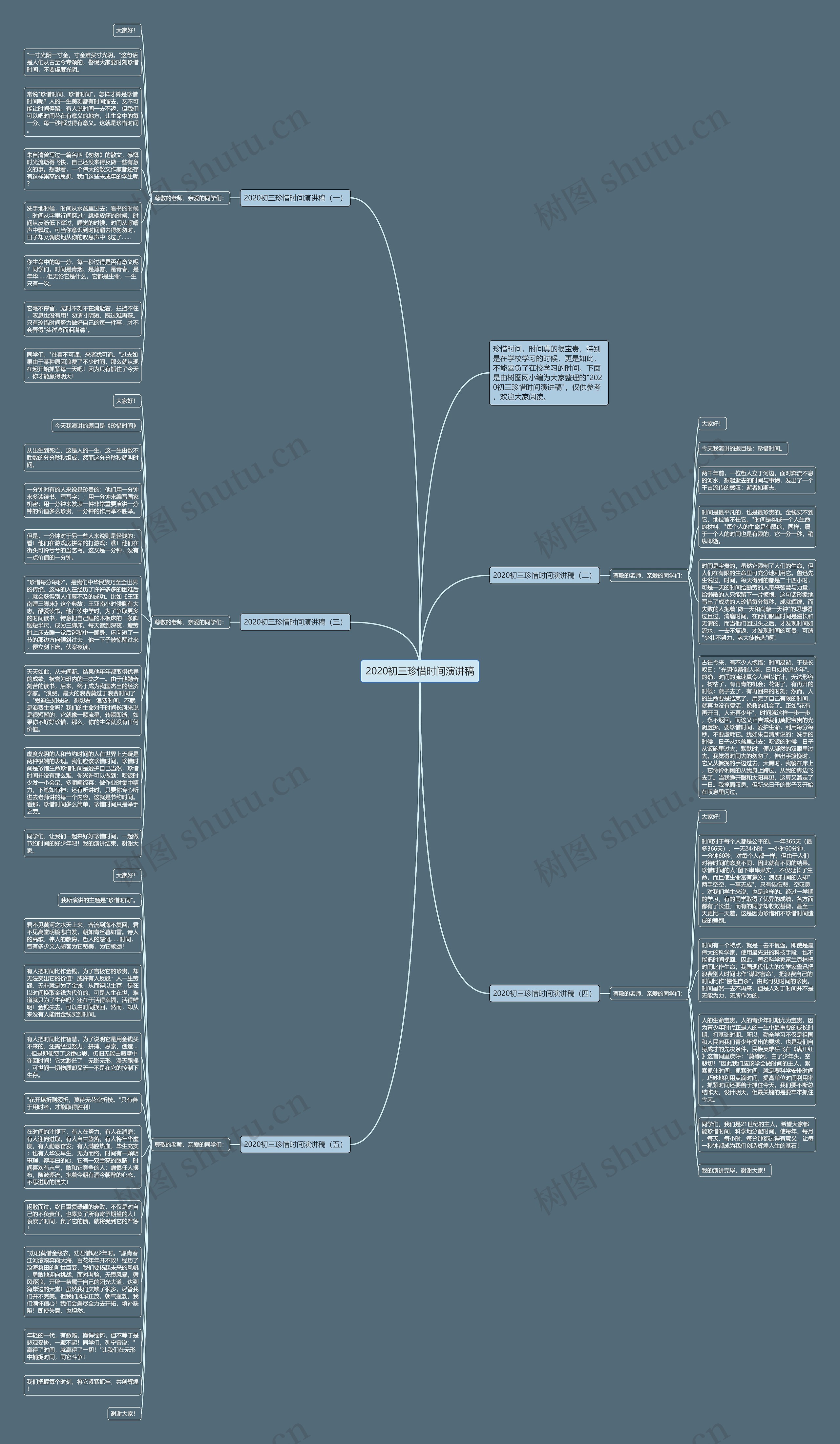 2020初三珍惜时间演讲稿思维导图