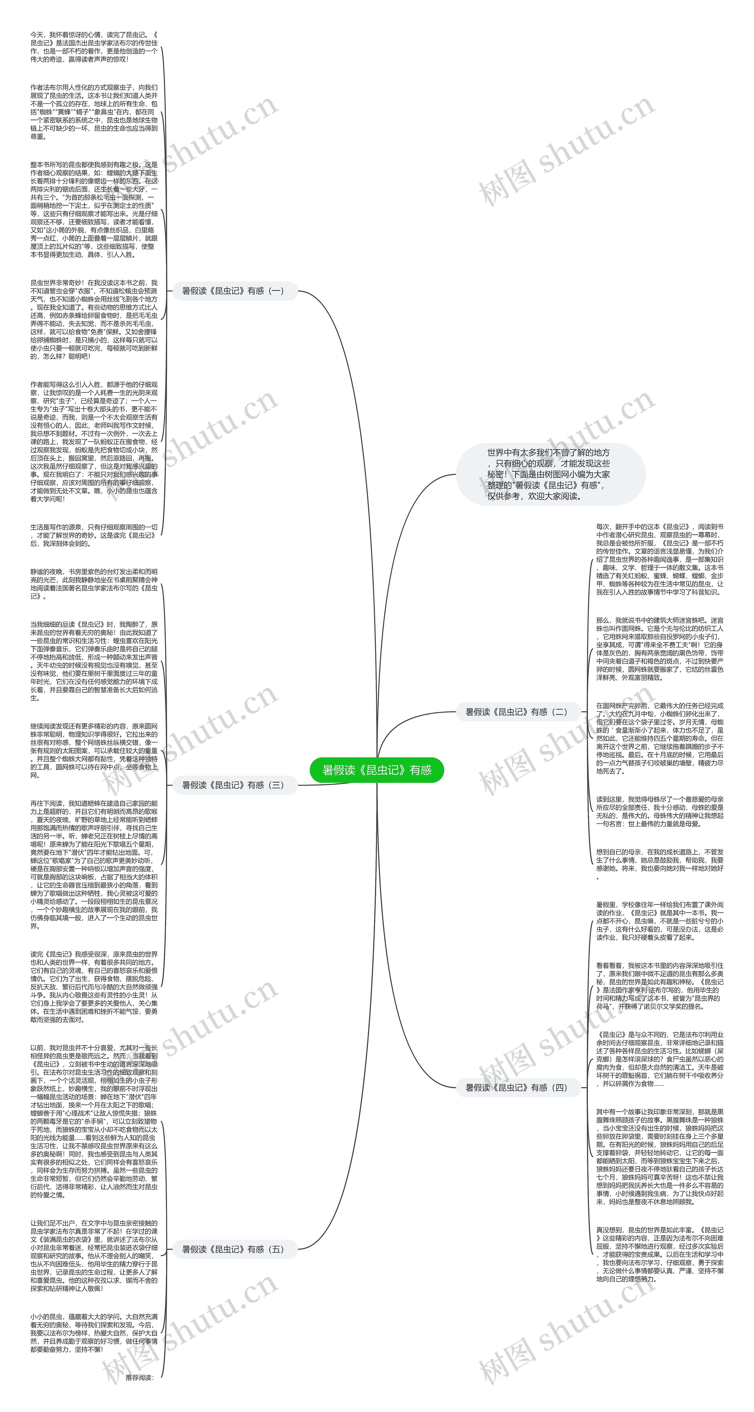 暑假读《昆虫记》有感思维导图