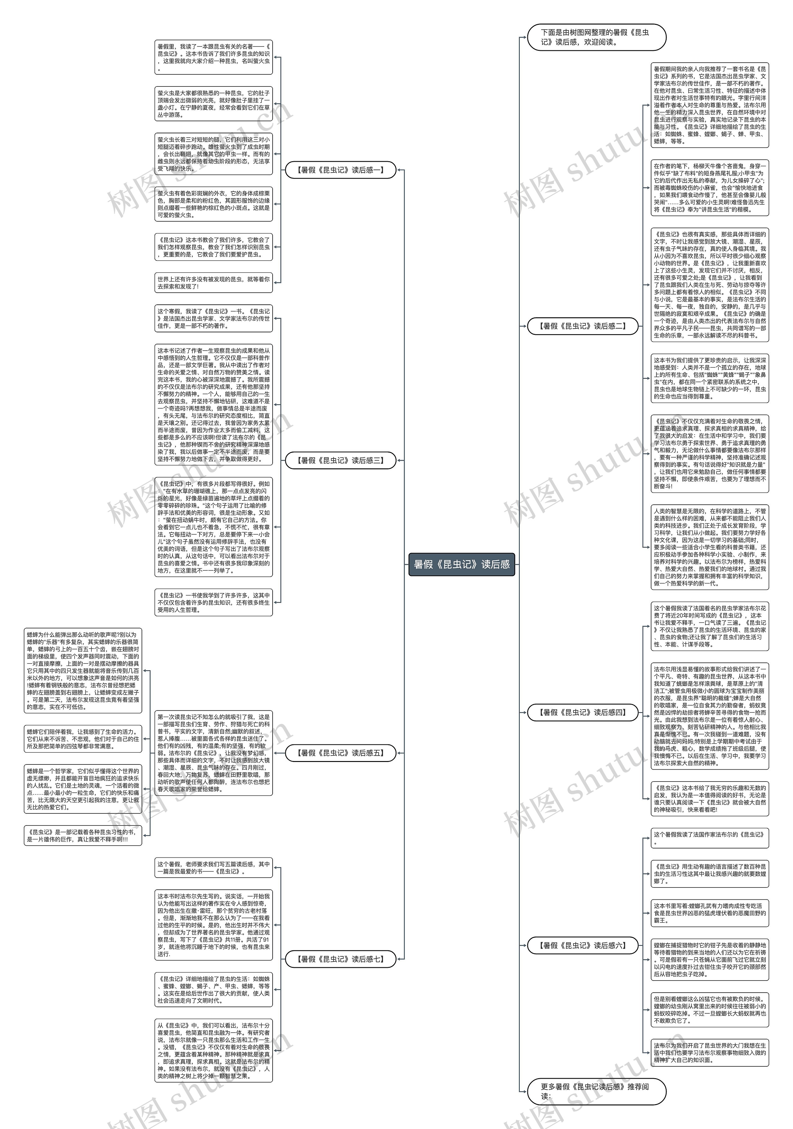 暑假《昆虫记》读后感思维导图