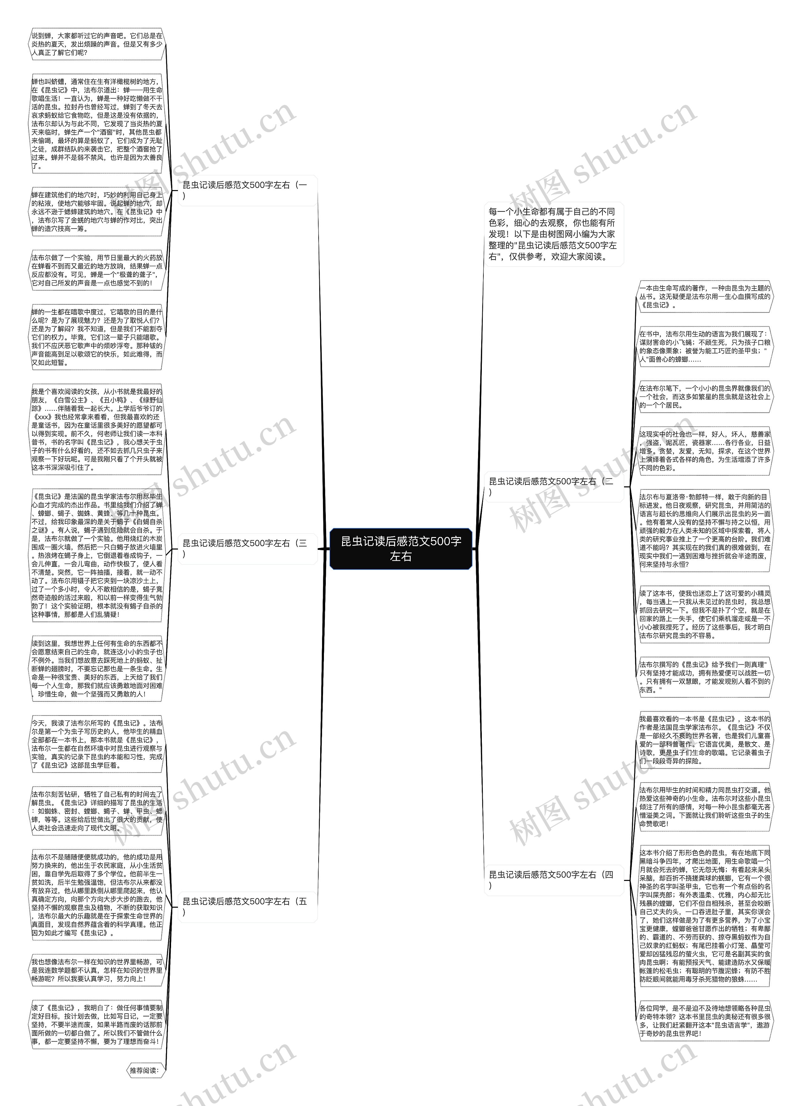 昆虫记读后感范文500字左右思维导图