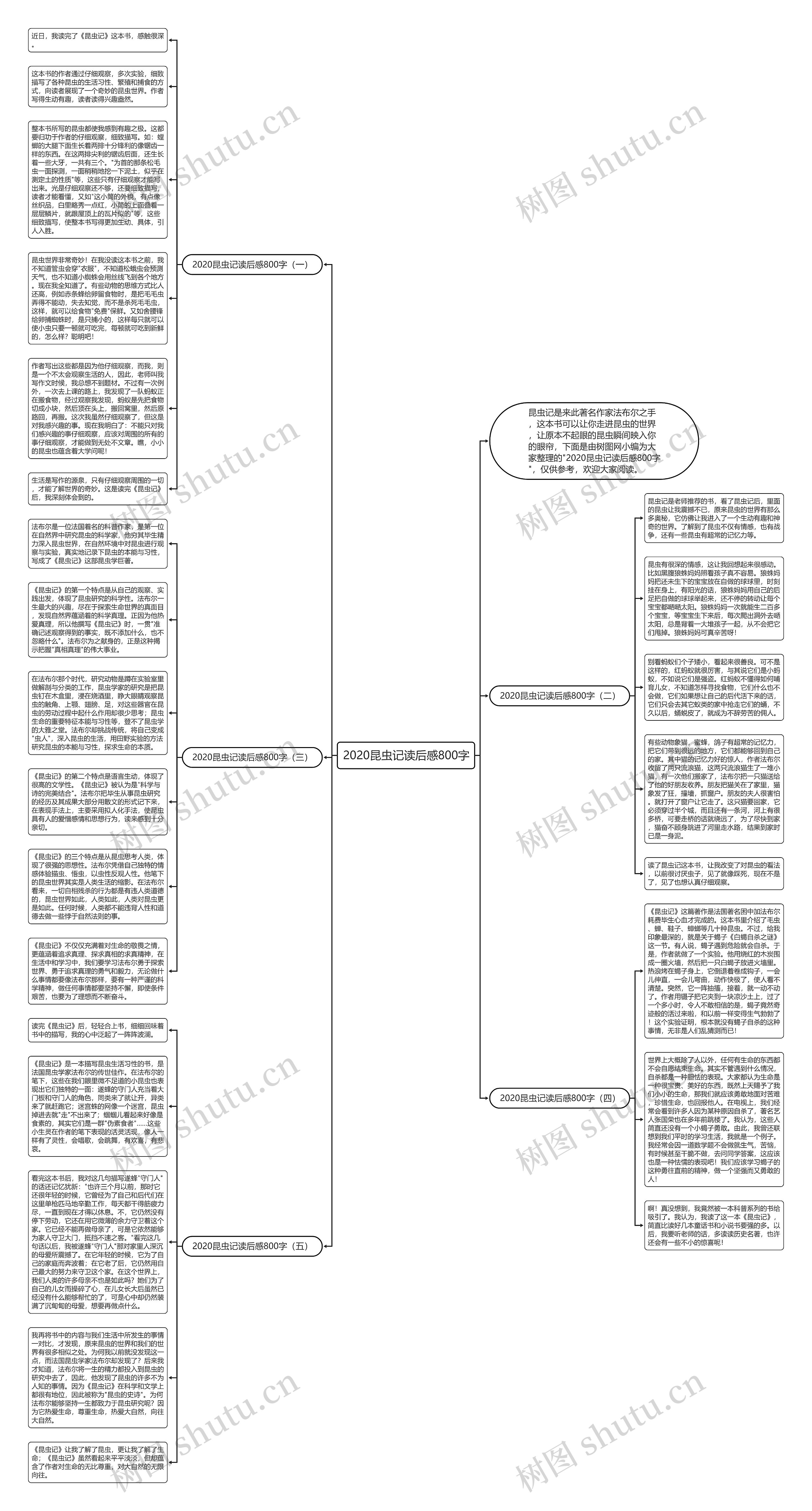 2020昆虫记读后感800字思维导图