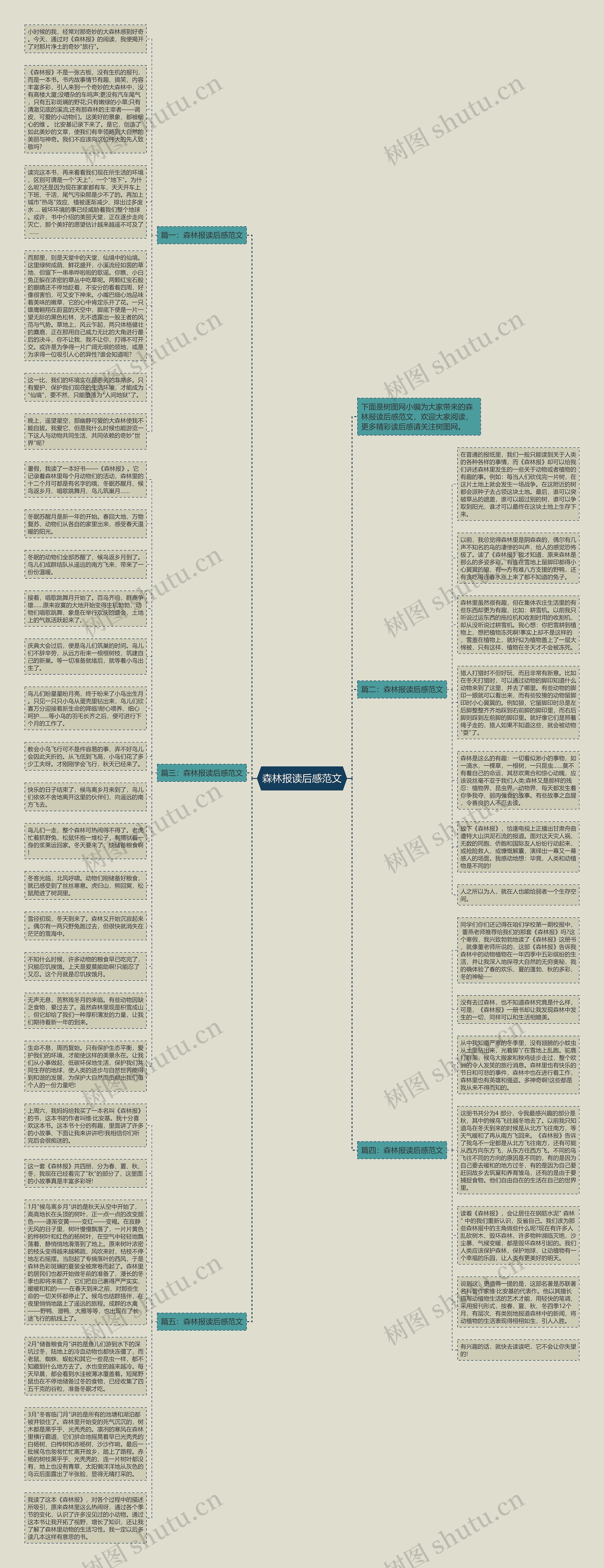 森林报读后感范文思维导图