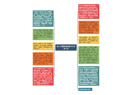老人与海鸥读后感开头写法大全