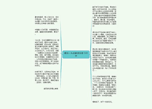 最后一头战象读后感 500字