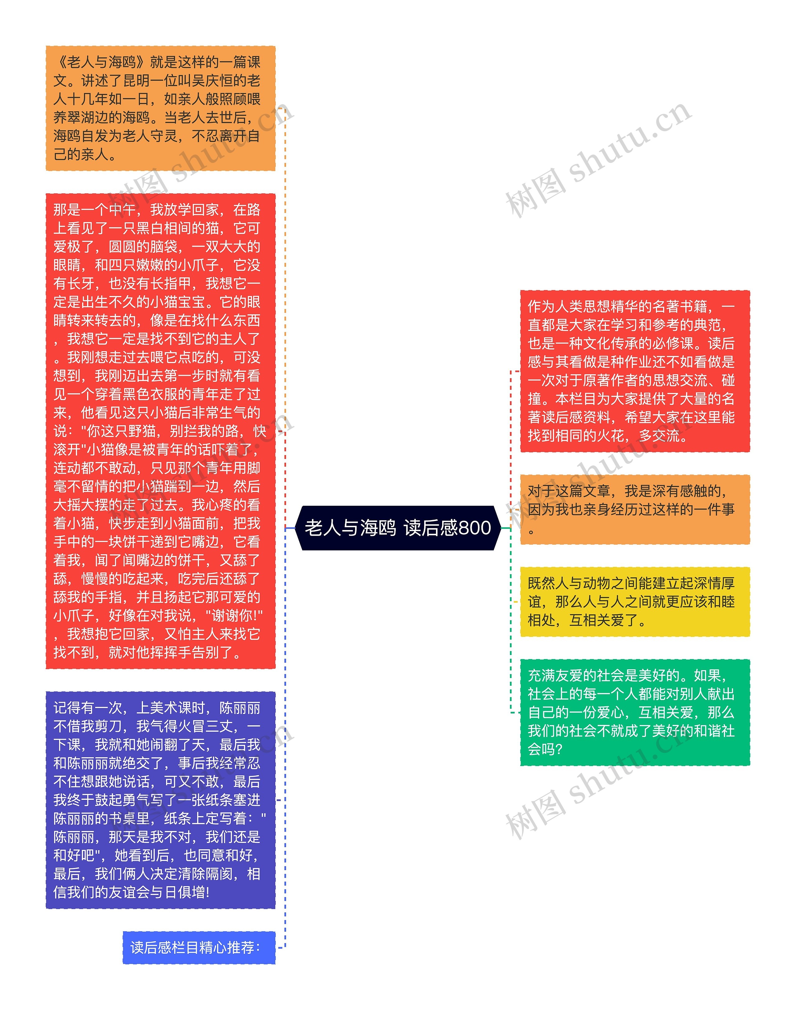 老人与海鸥 读后感800