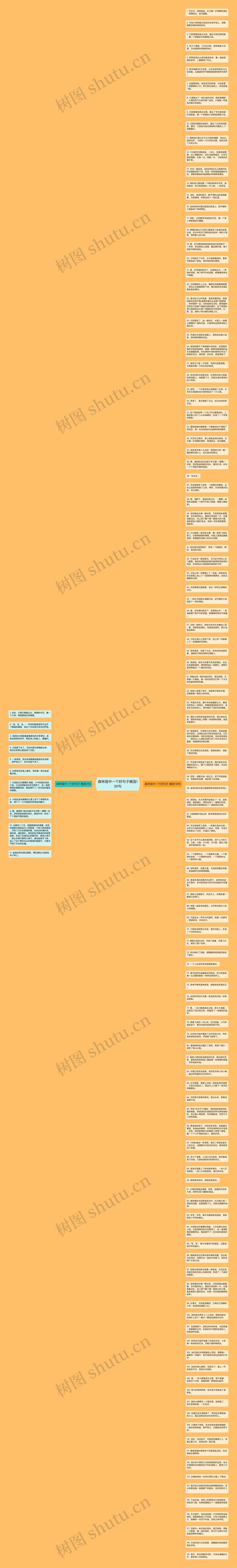 森林报中一个好句子精选130句