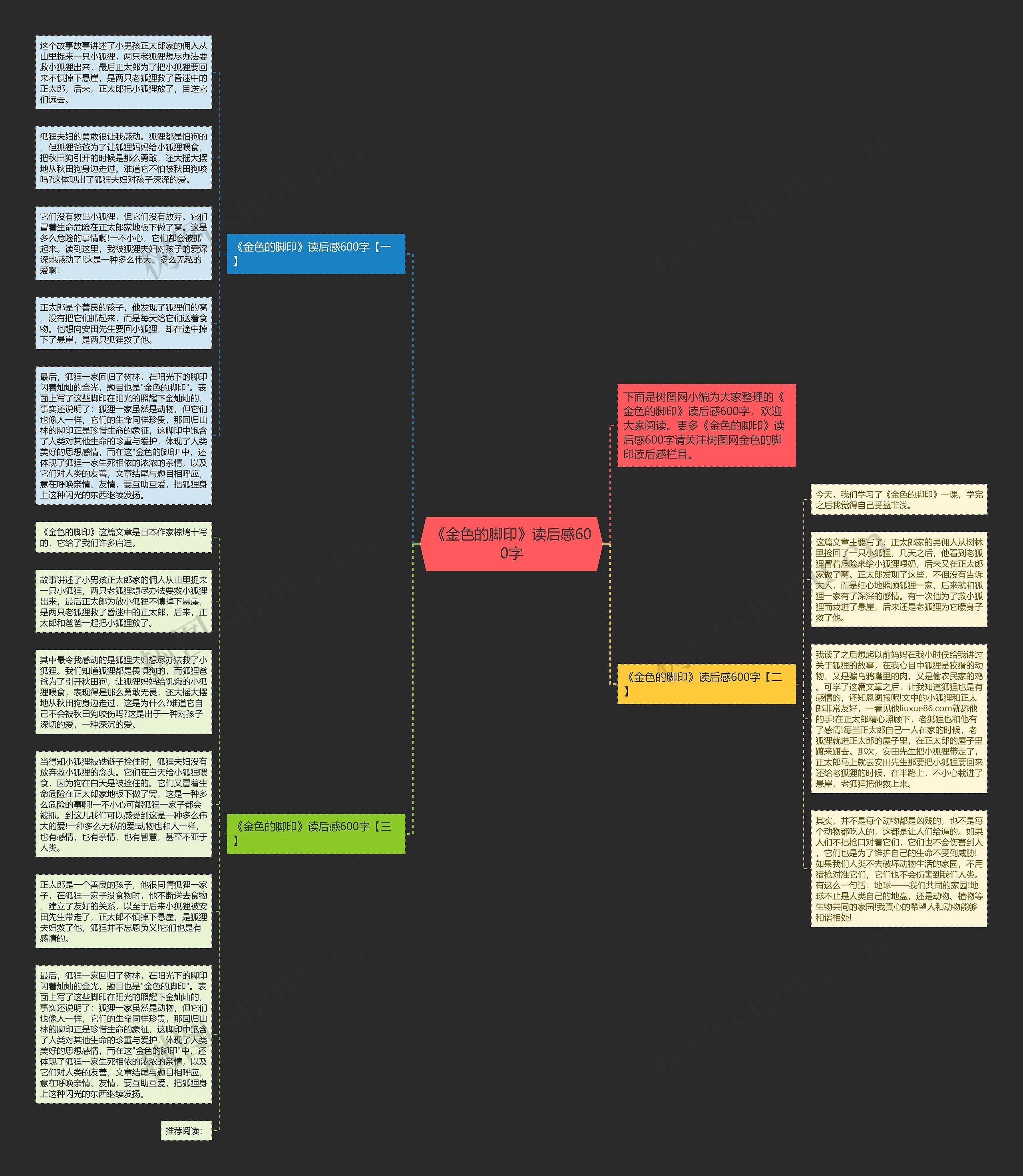 《金色的脚印》读后感600字思维导图