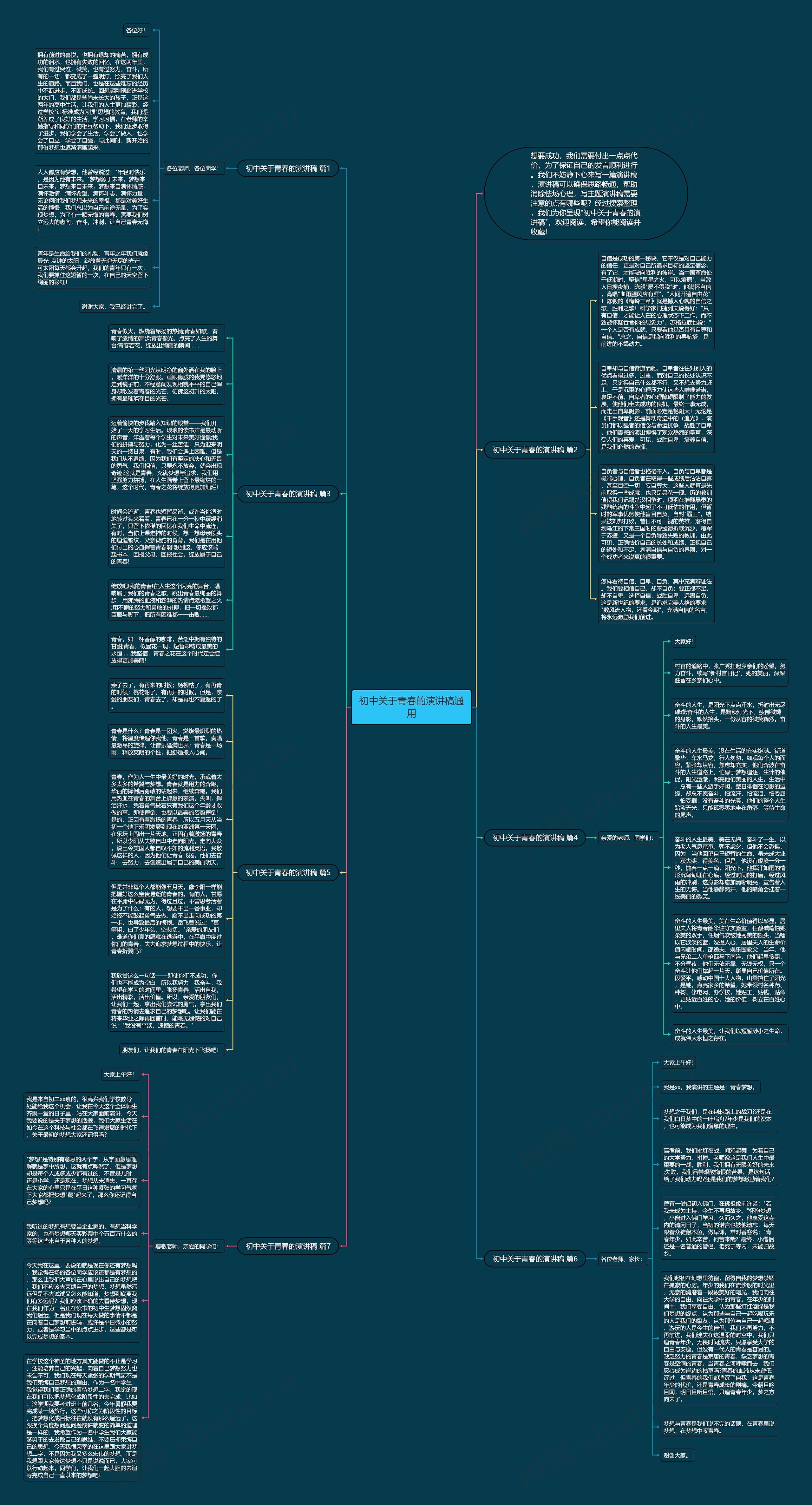 初中关于青春的演讲稿通用思维导图