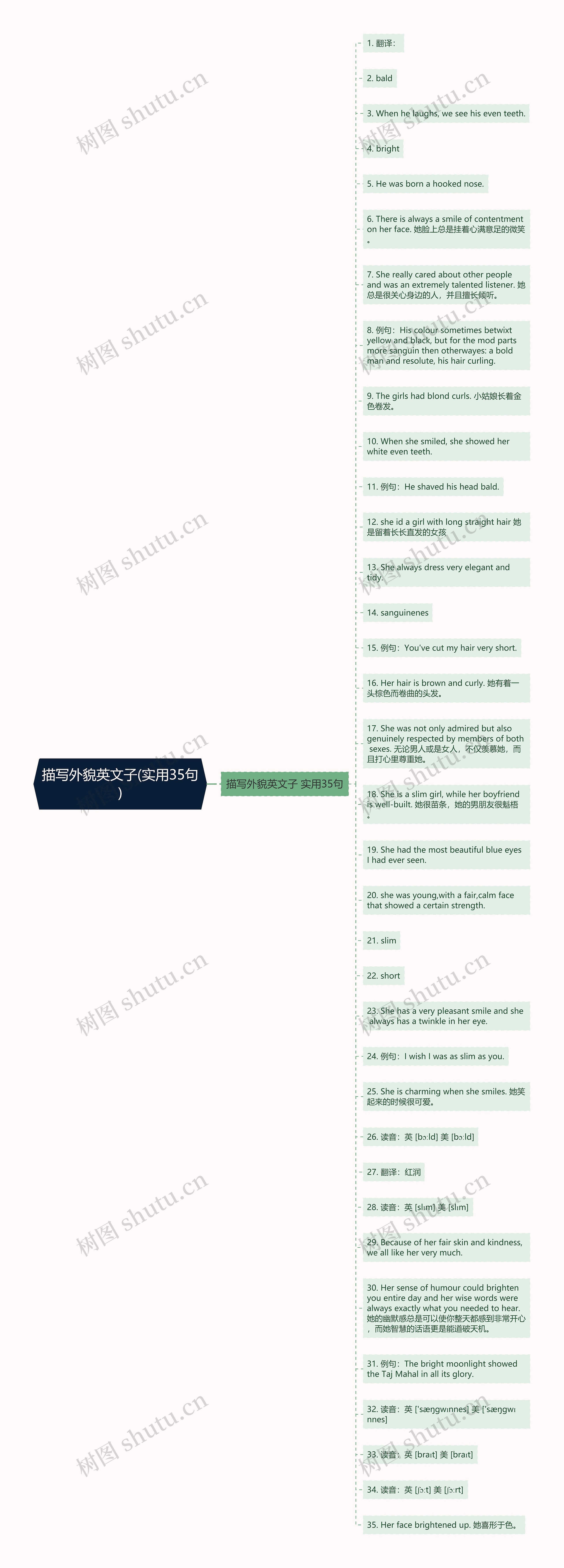 描写外貌英文子(实用35句)思维导图