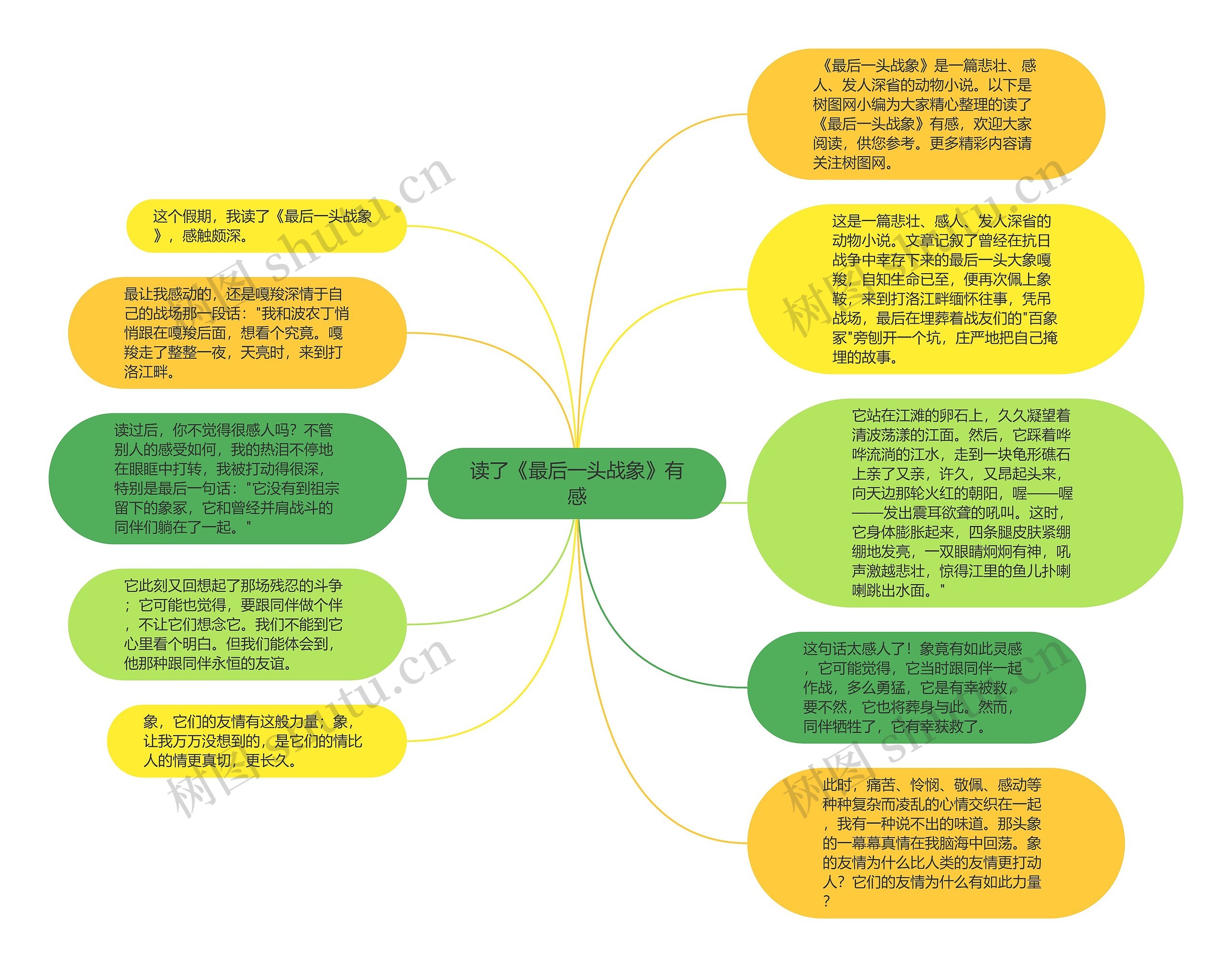 读了《最后一头战象》有感