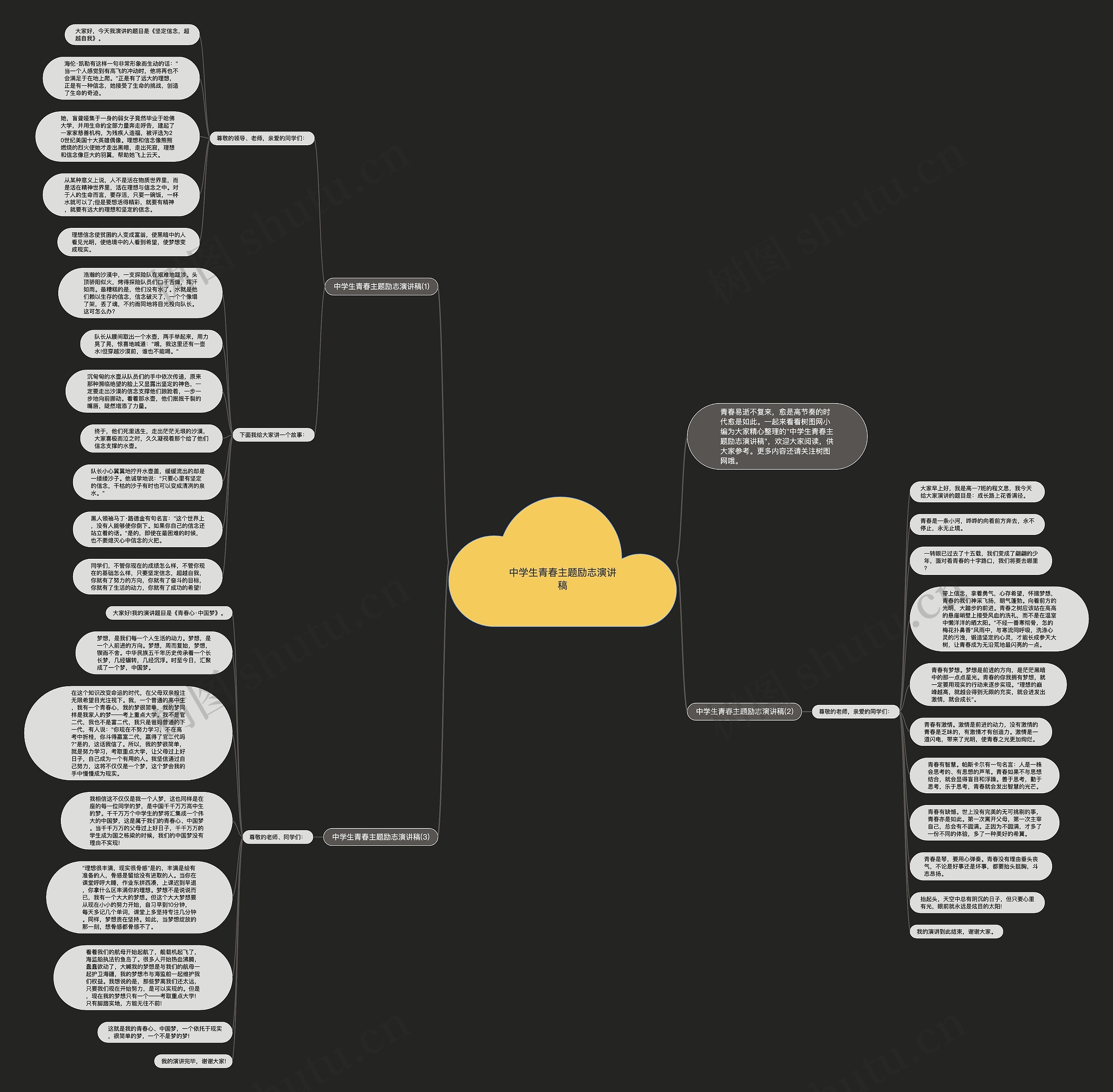 中学生青春主题励志演讲稿思维导图