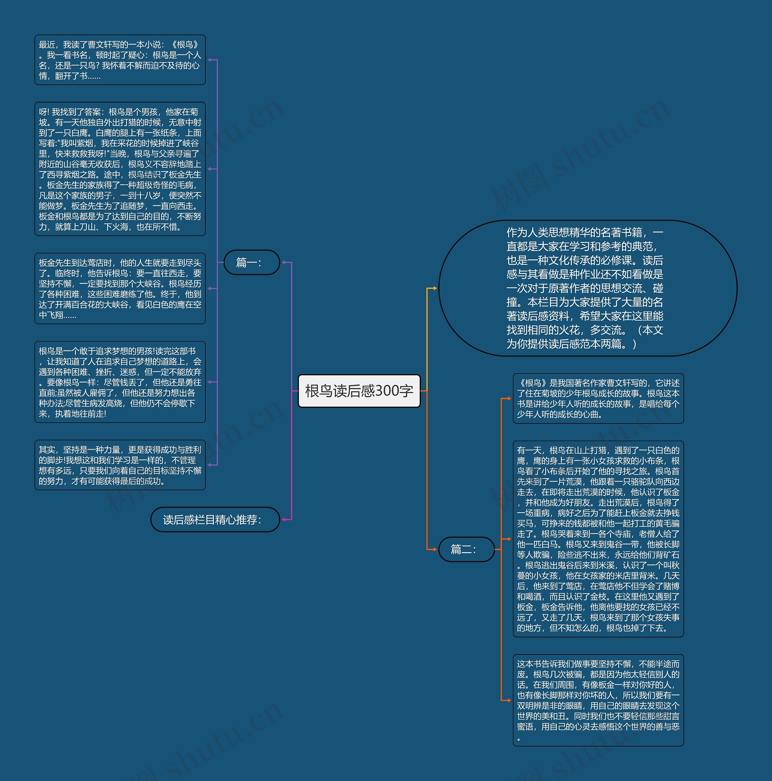 根鸟读后感300字