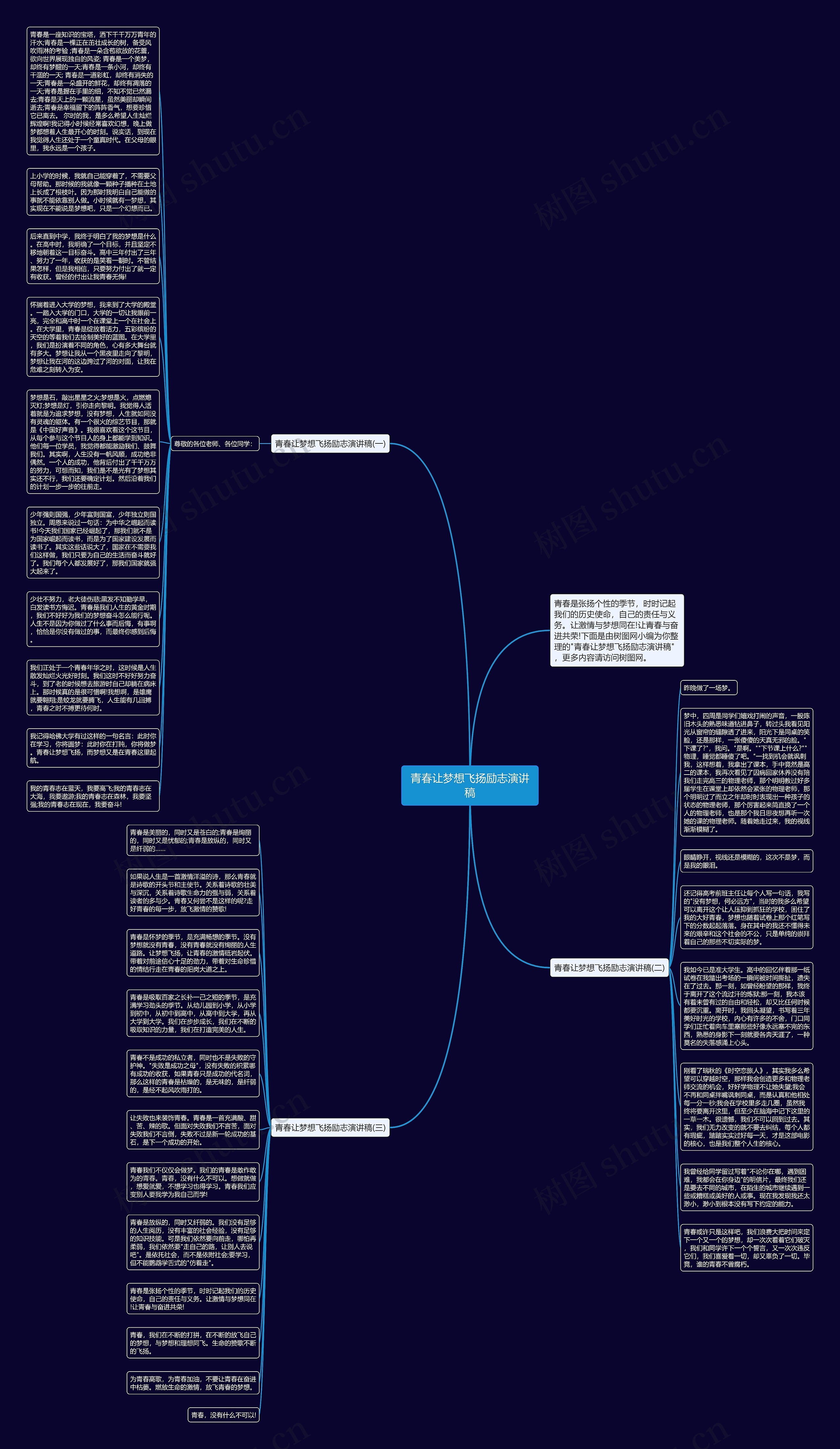 青春让梦想飞扬励志演讲稿思维导图
