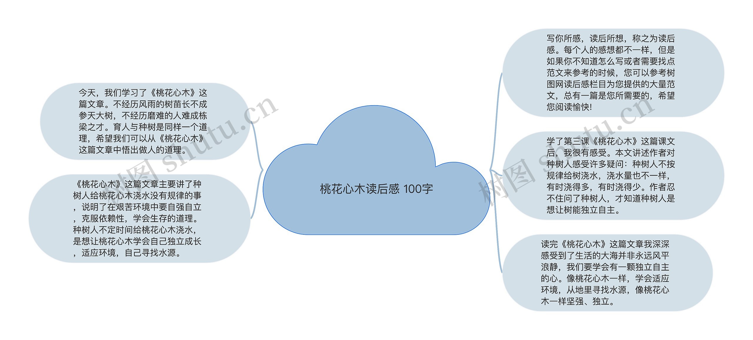 桃花心木读后感 100字思维导图