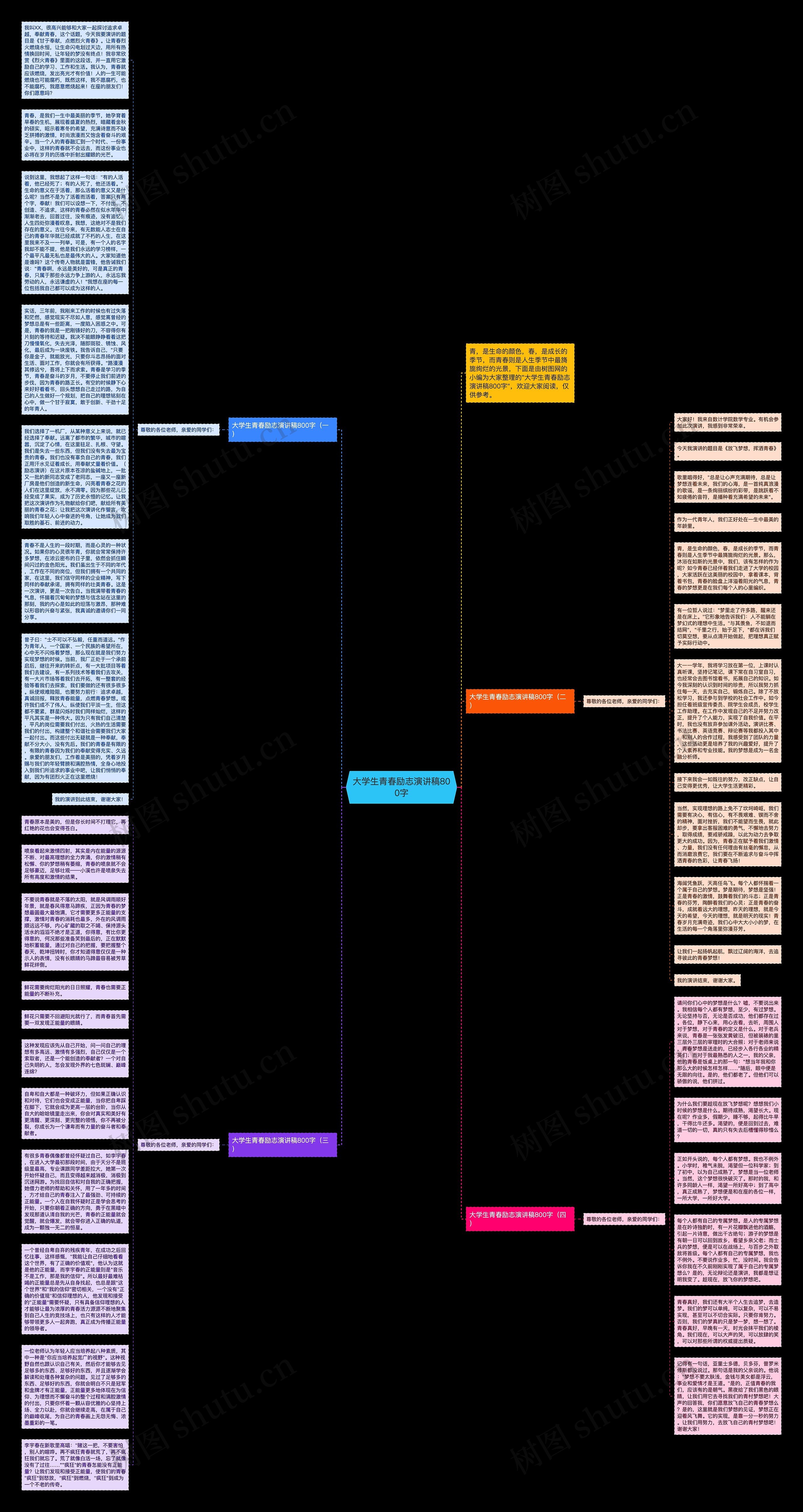 大学生青春励志演讲稿800字思维导图