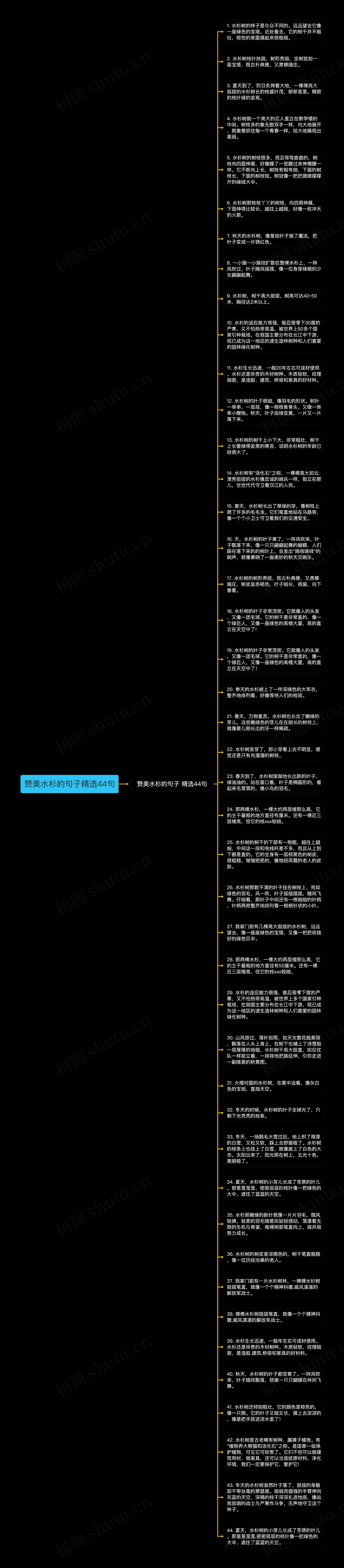 赞美水杉的句子精选44句思维导图