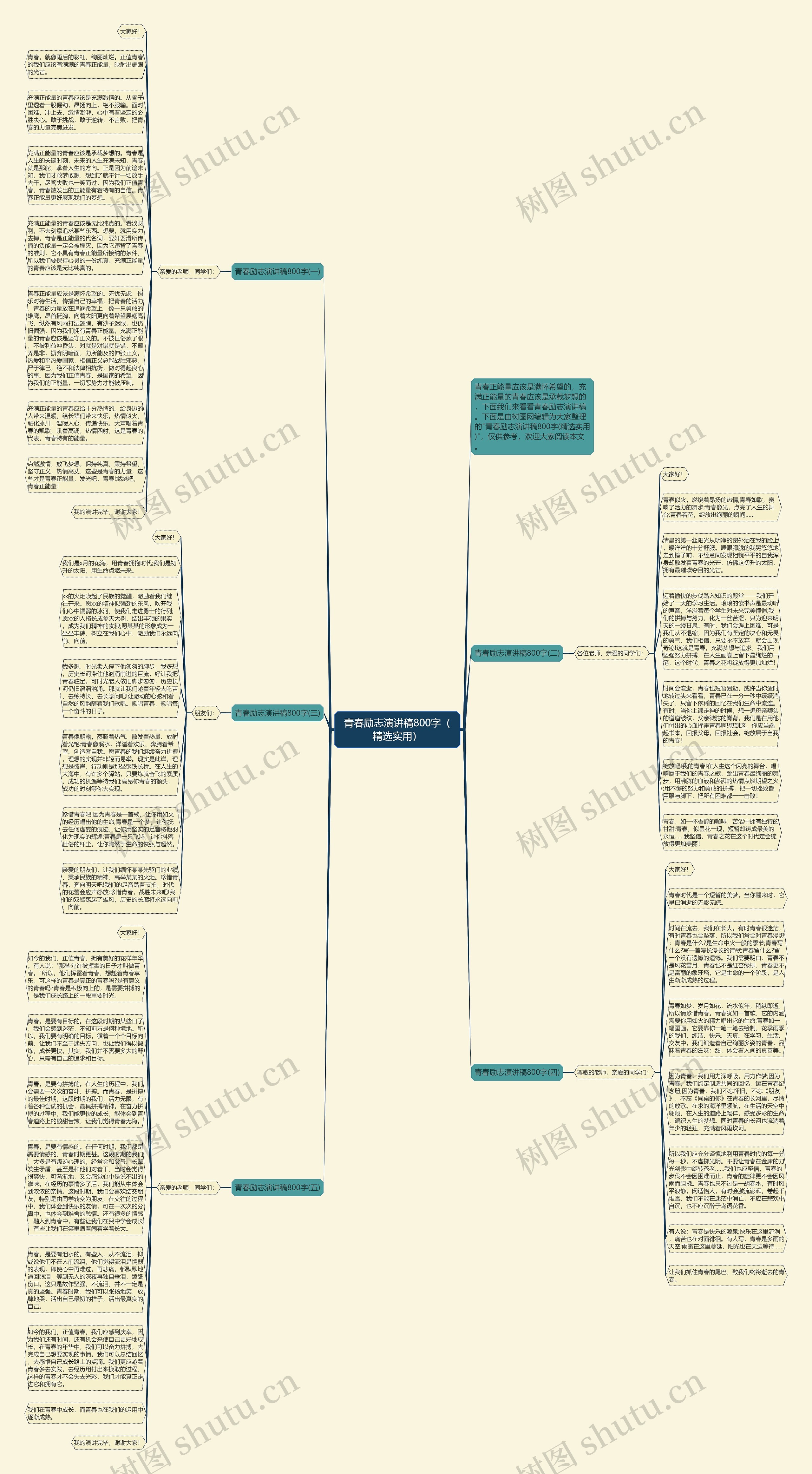 青春励志演讲稿800字（精选实用）思维导图