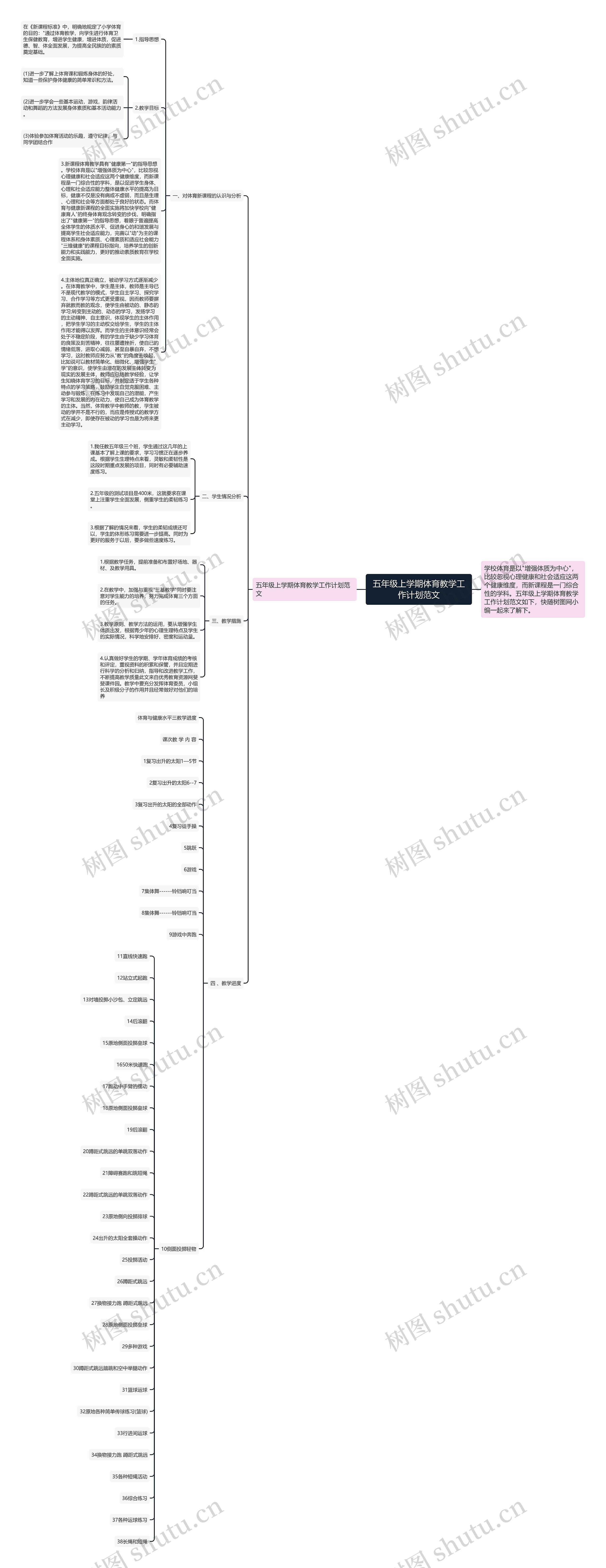 五年级上学期体育教学工作计划范文思维导图