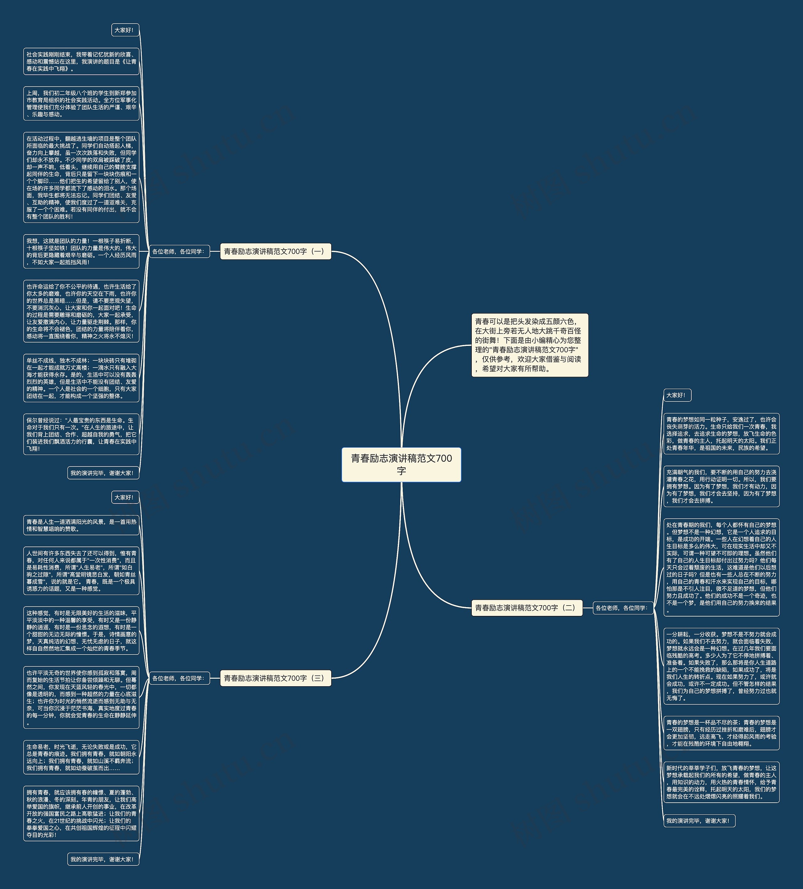 青春励志演讲稿范文700字思维导图