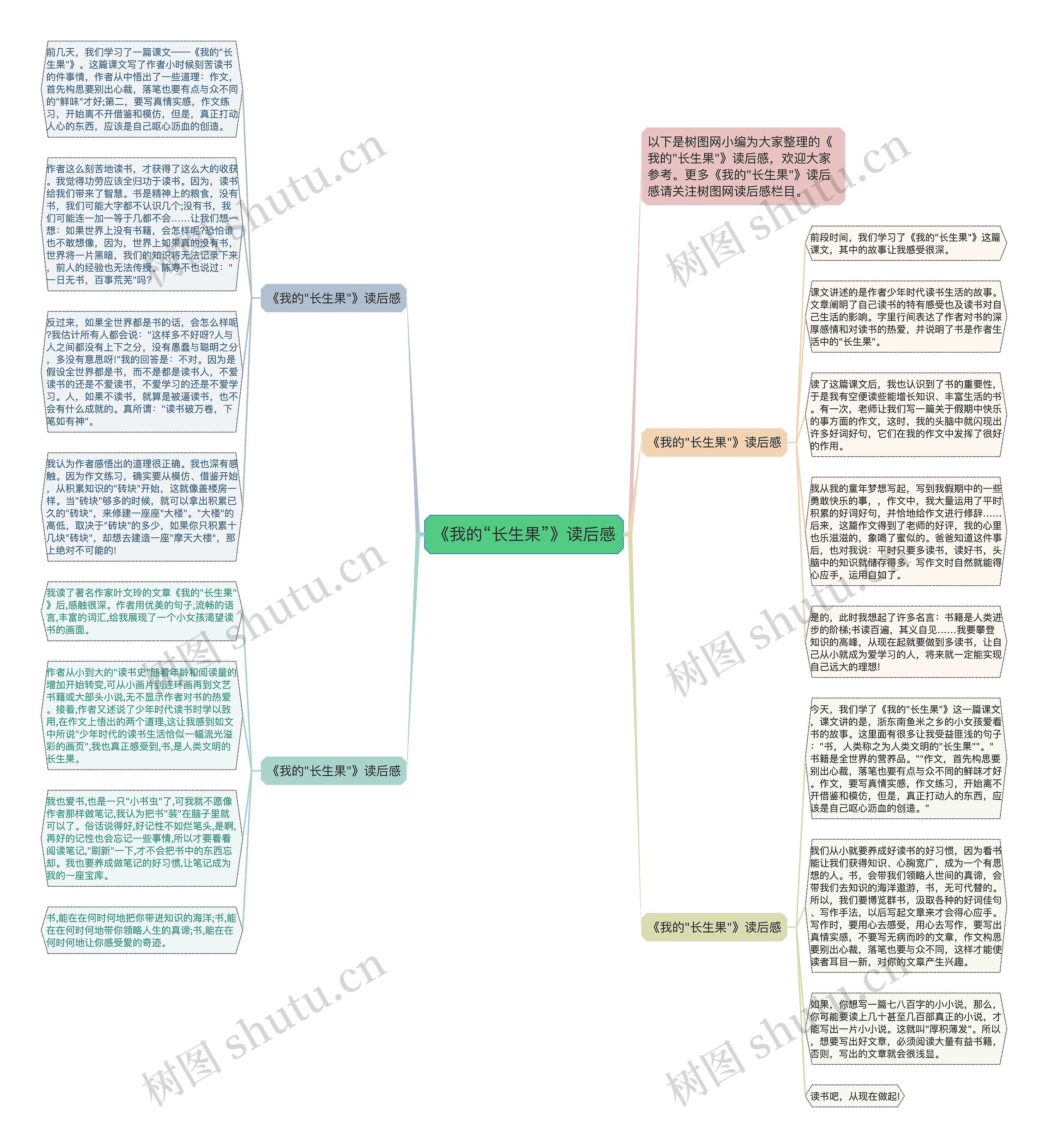 《我的“长生果”》读后感思维导图