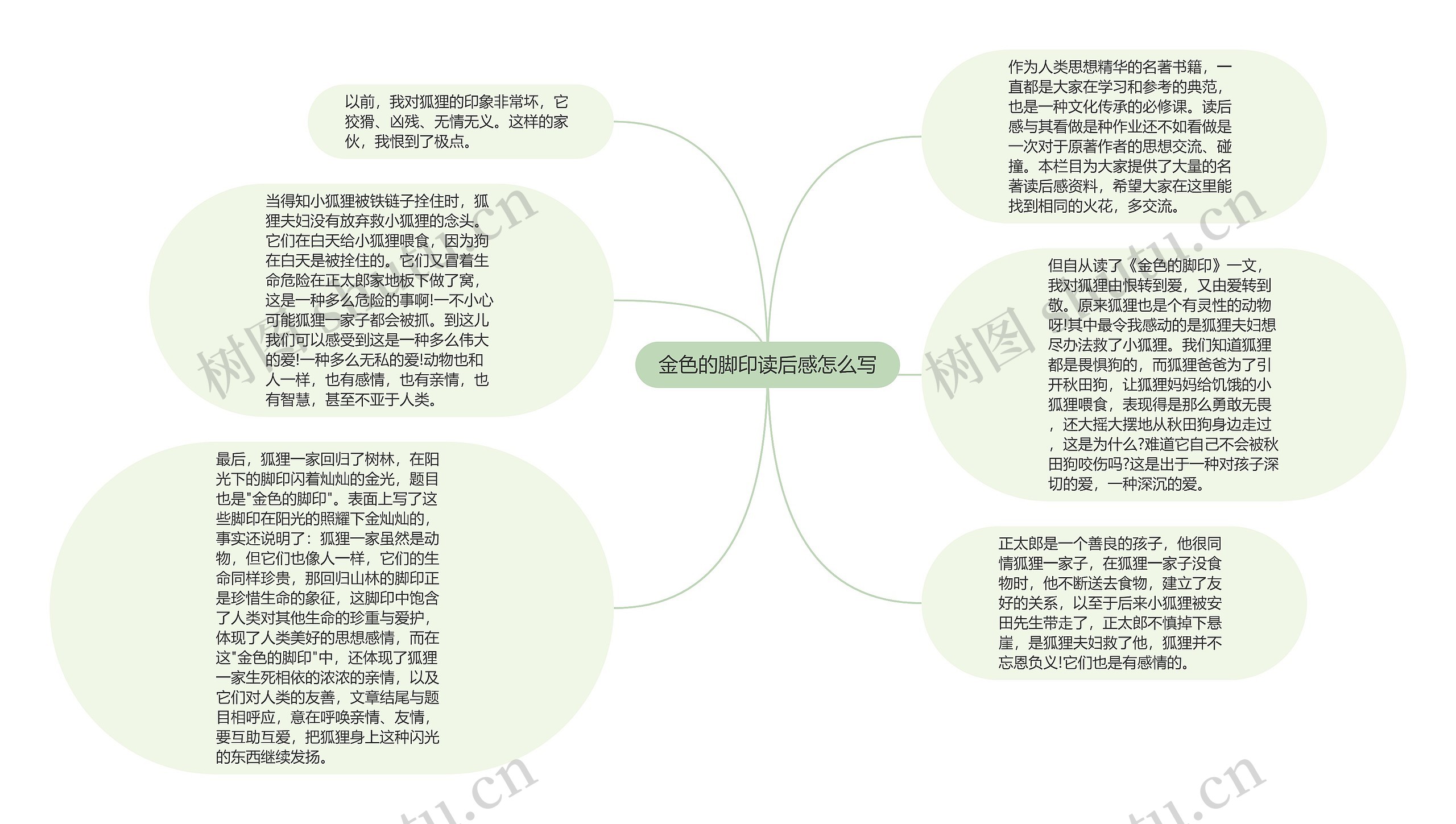 金色的脚印读后感怎么写