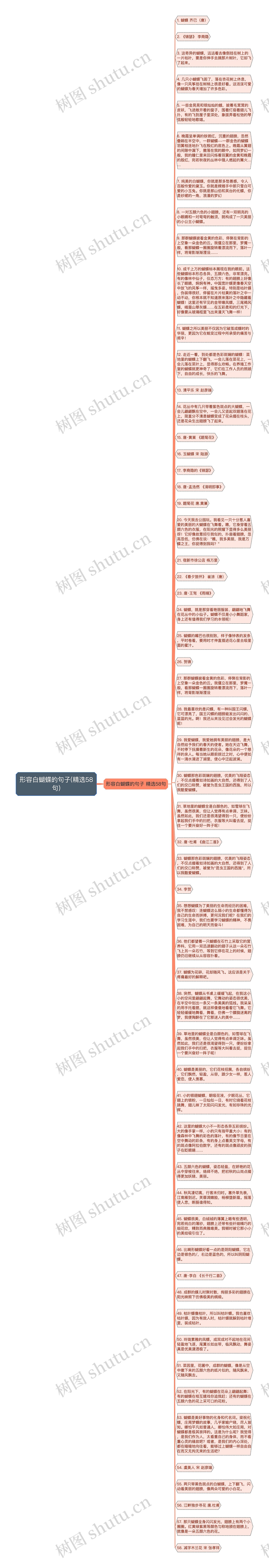 形容白蝴蝶的句子(精选58句)