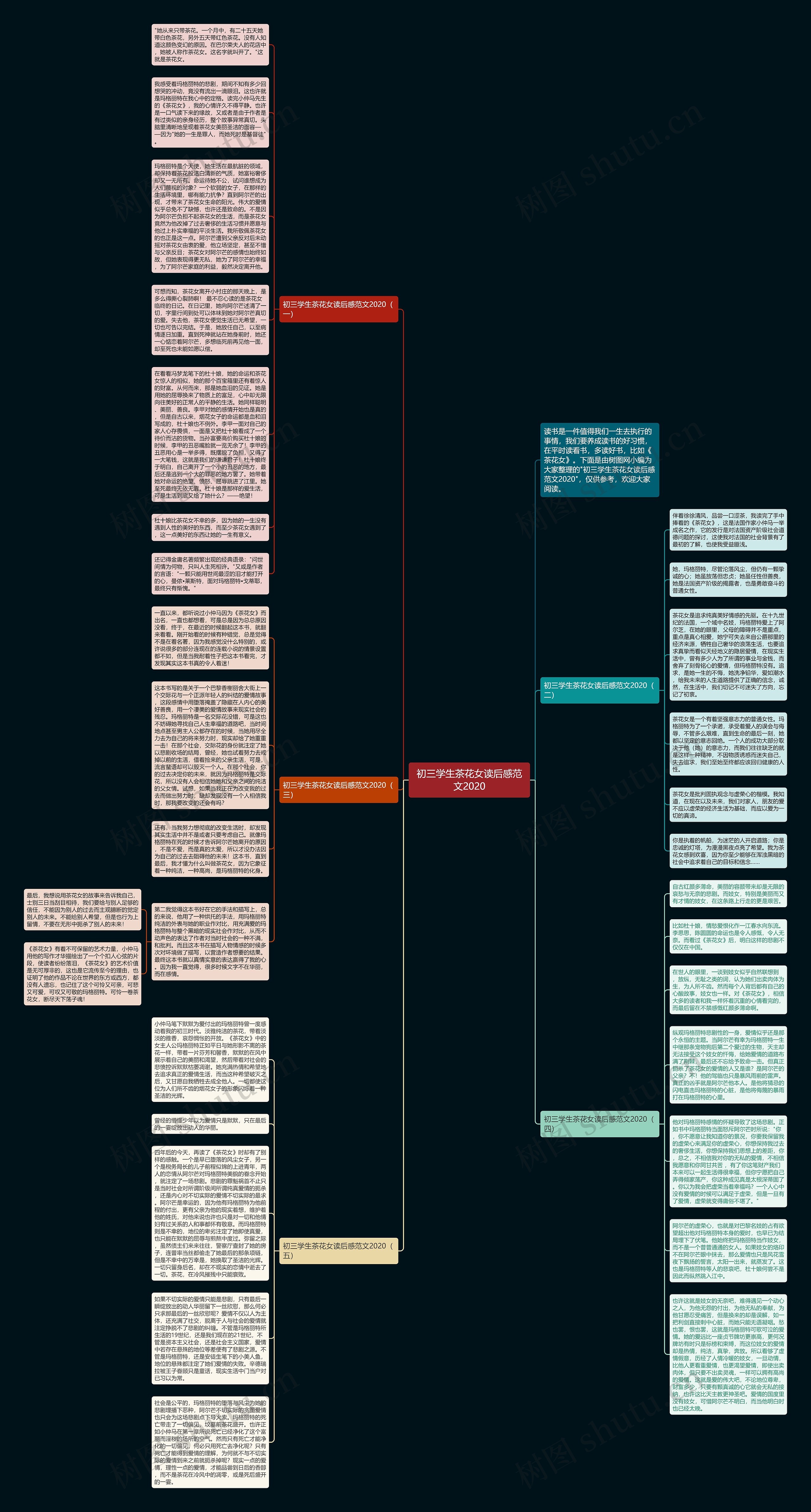 初三学生茶花女读后感范文2020思维导图