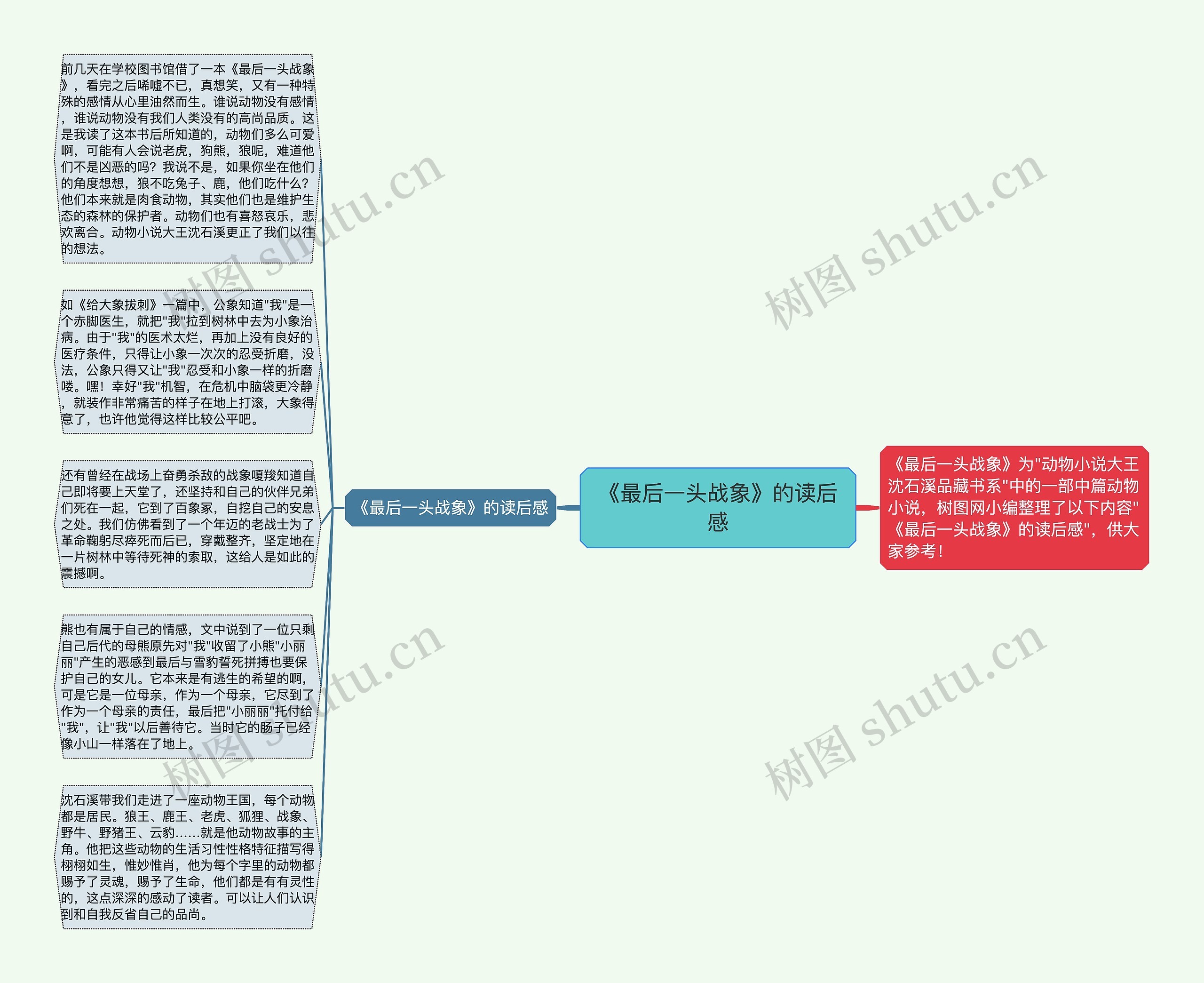 《最后一头战象》的读后感思维导图