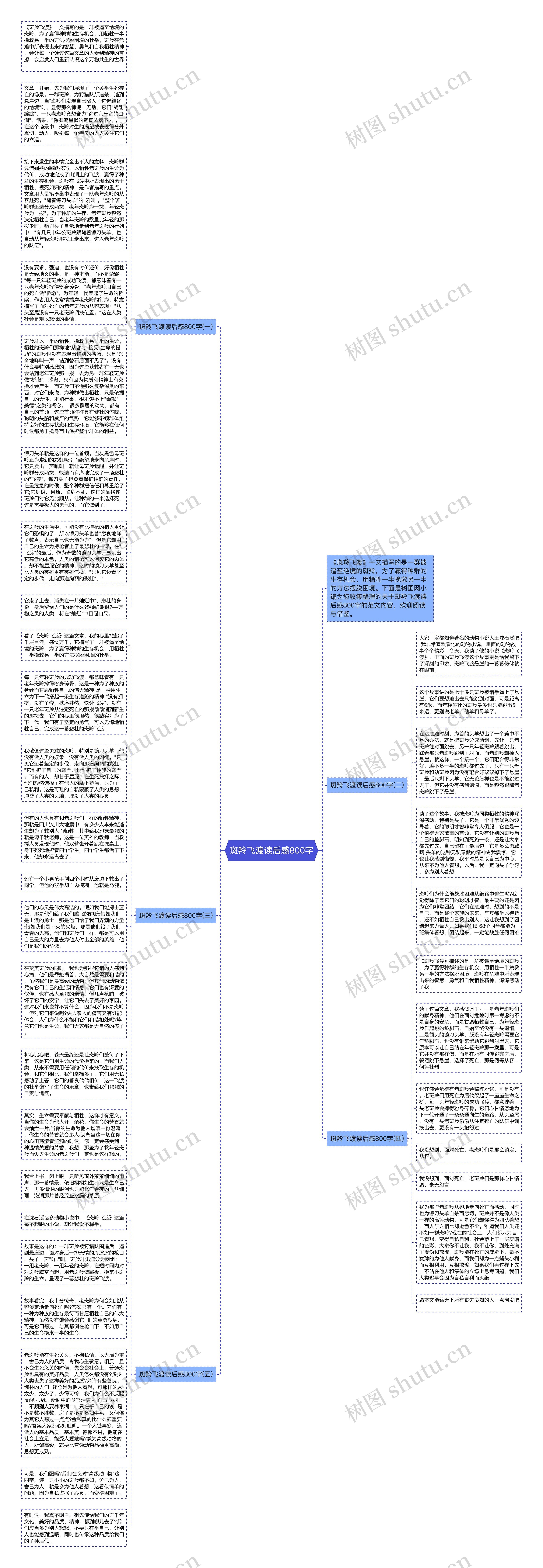 斑羚飞渡读后感800字思维导图