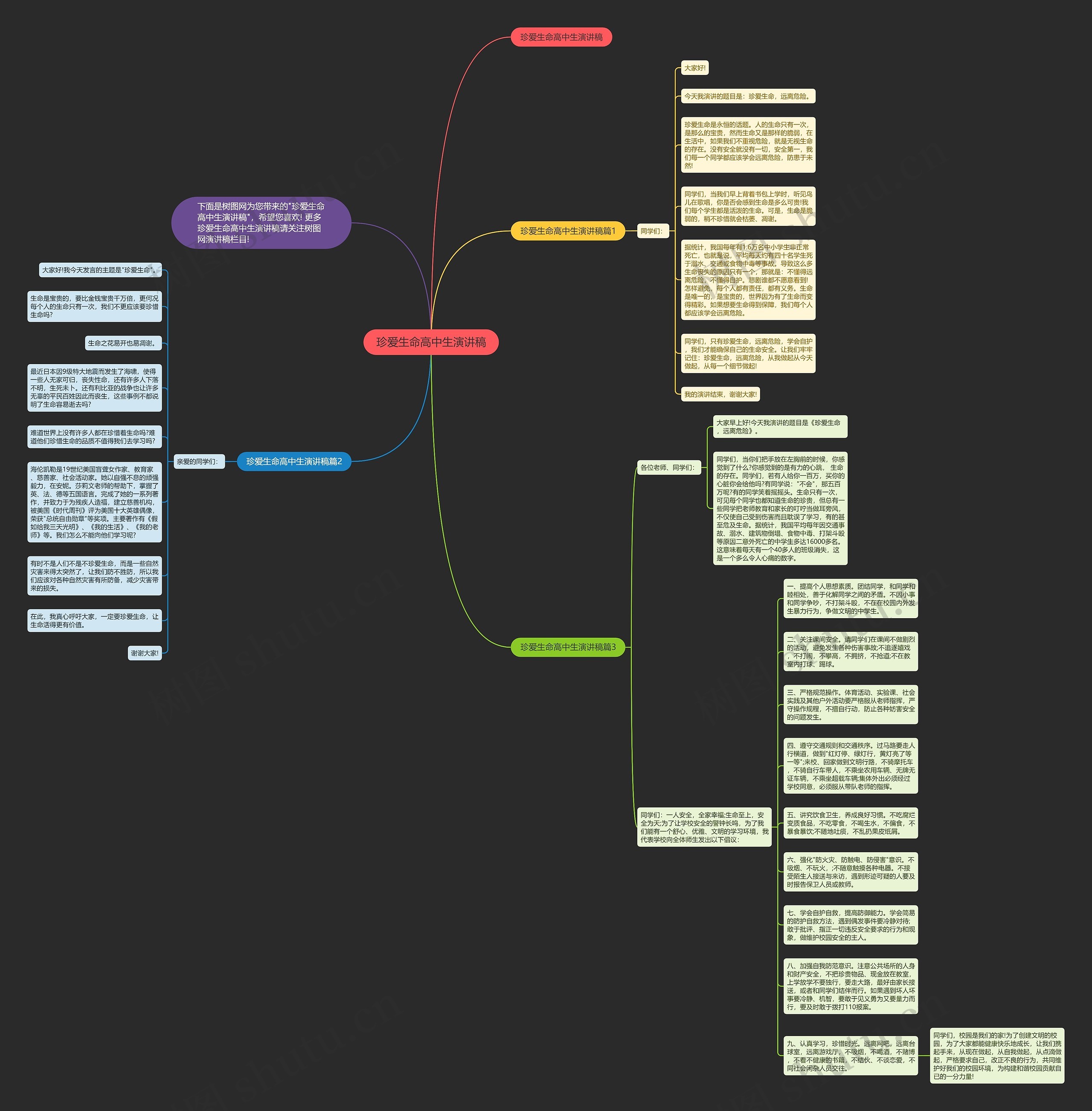 珍爱生命高中生演讲稿思维导图