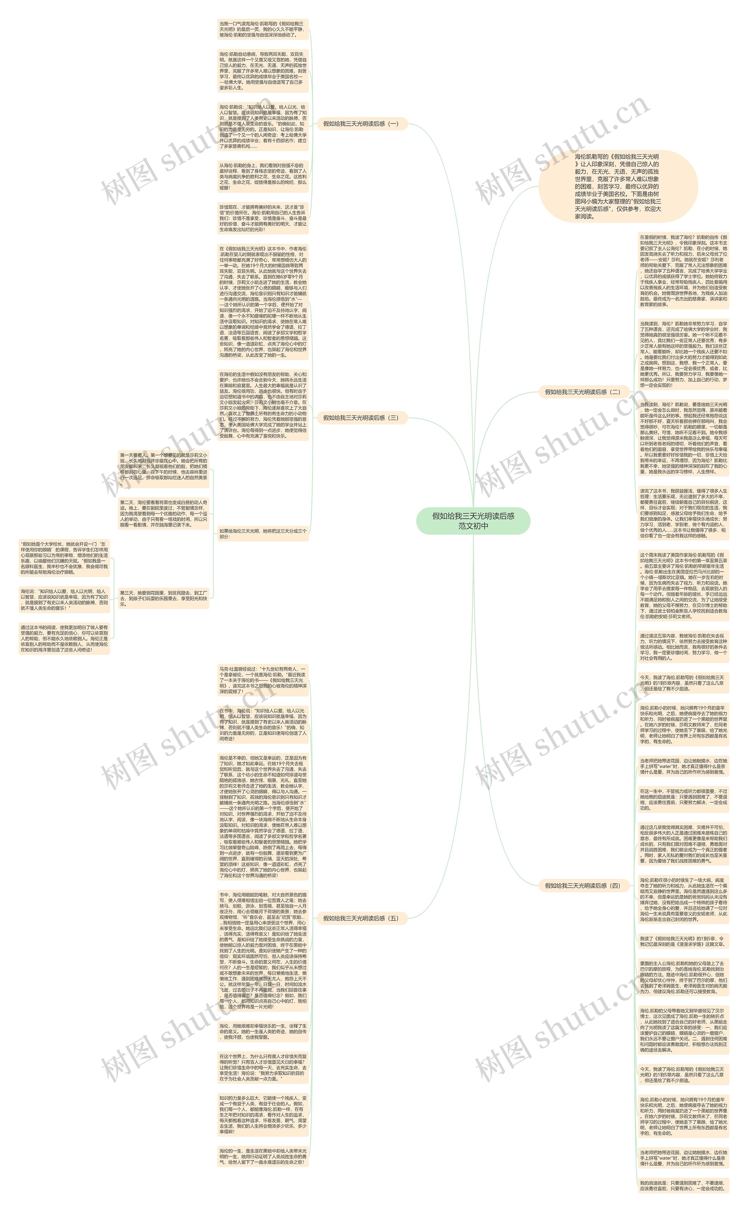 假如给我三天光明读后感范文初中思维导图