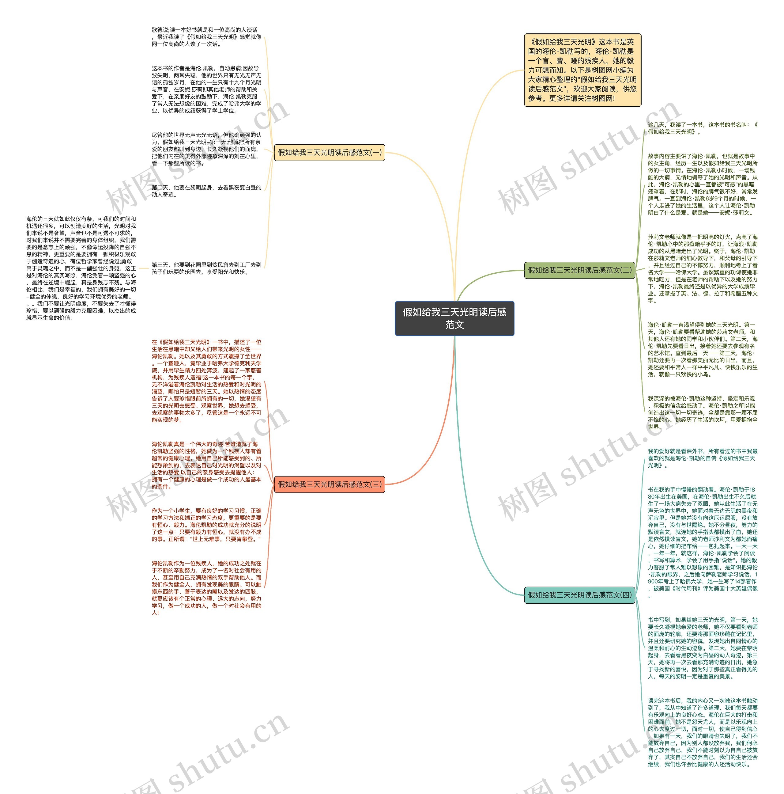 假如给我三天光明读后感范文思维导图