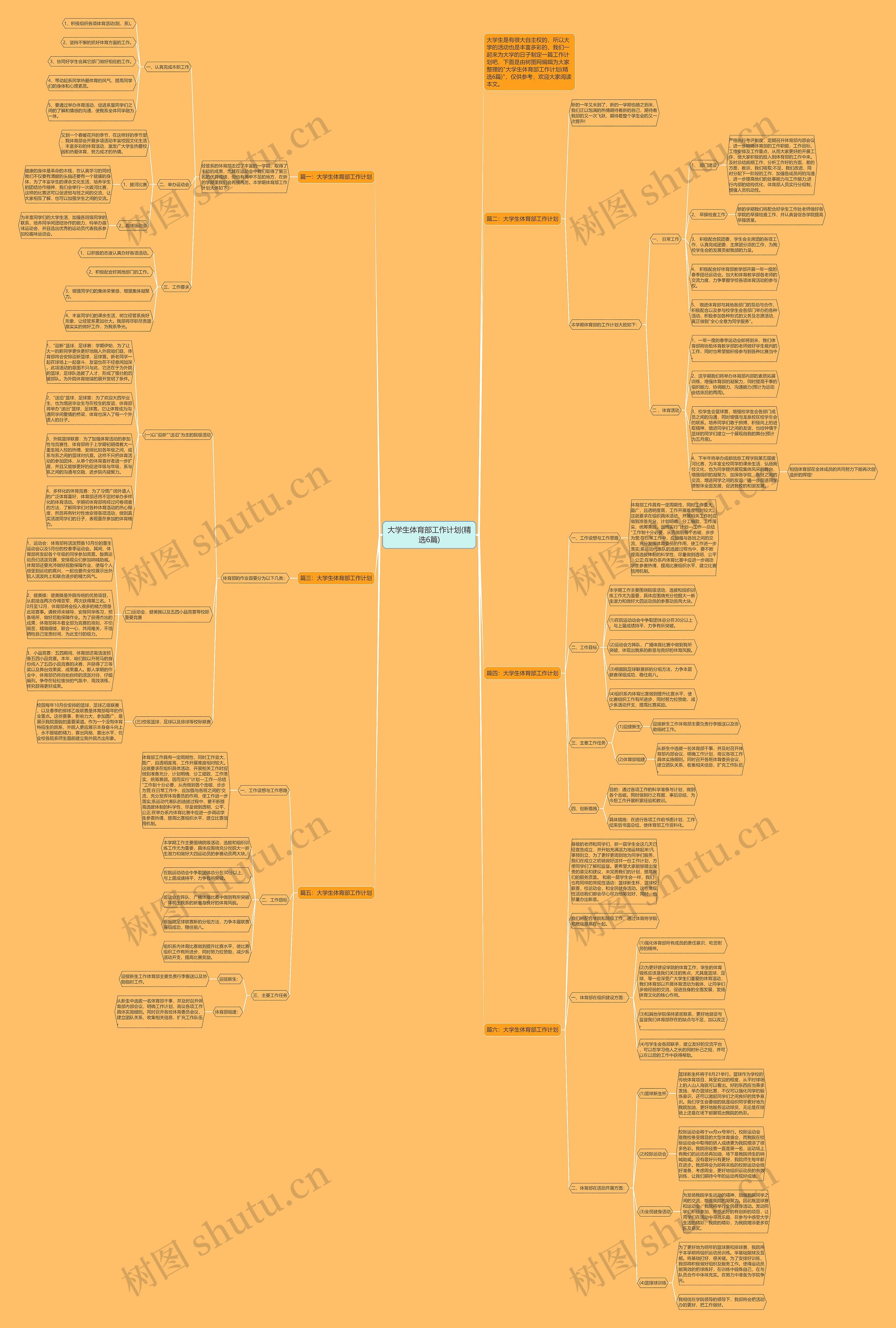 大学生体育部工作计划(精选6篇)思维导图