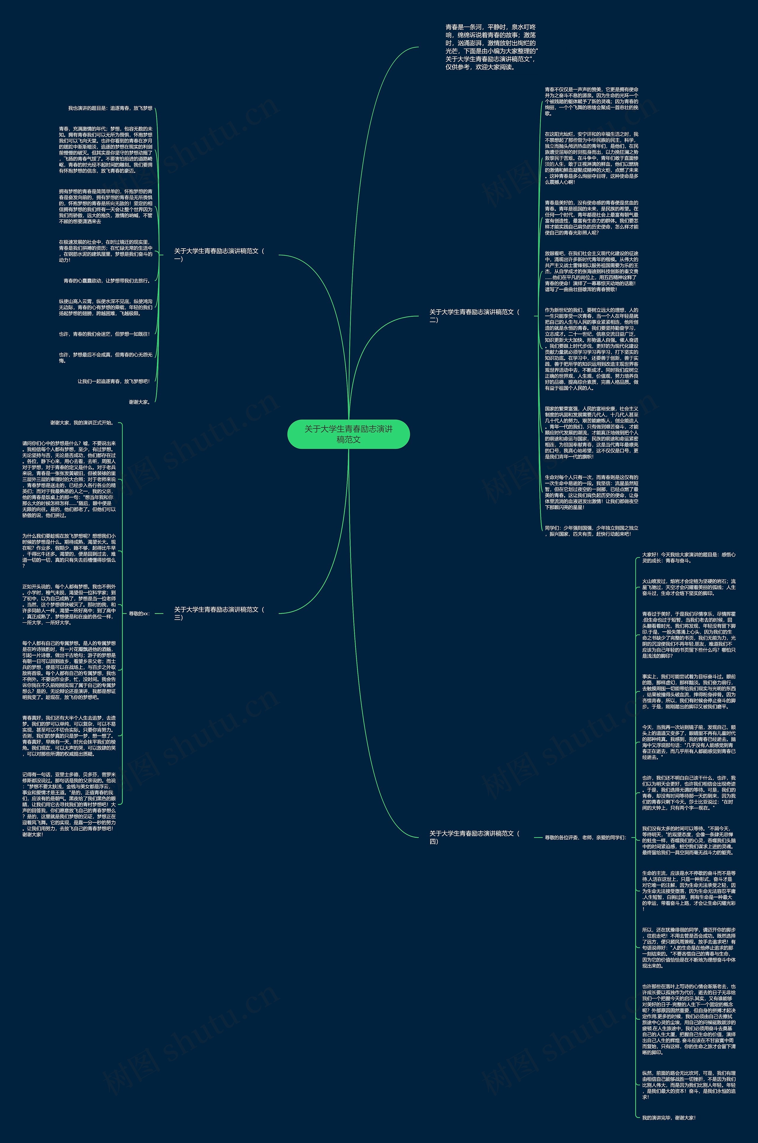 关于大学生青春励志演讲稿范文思维导图