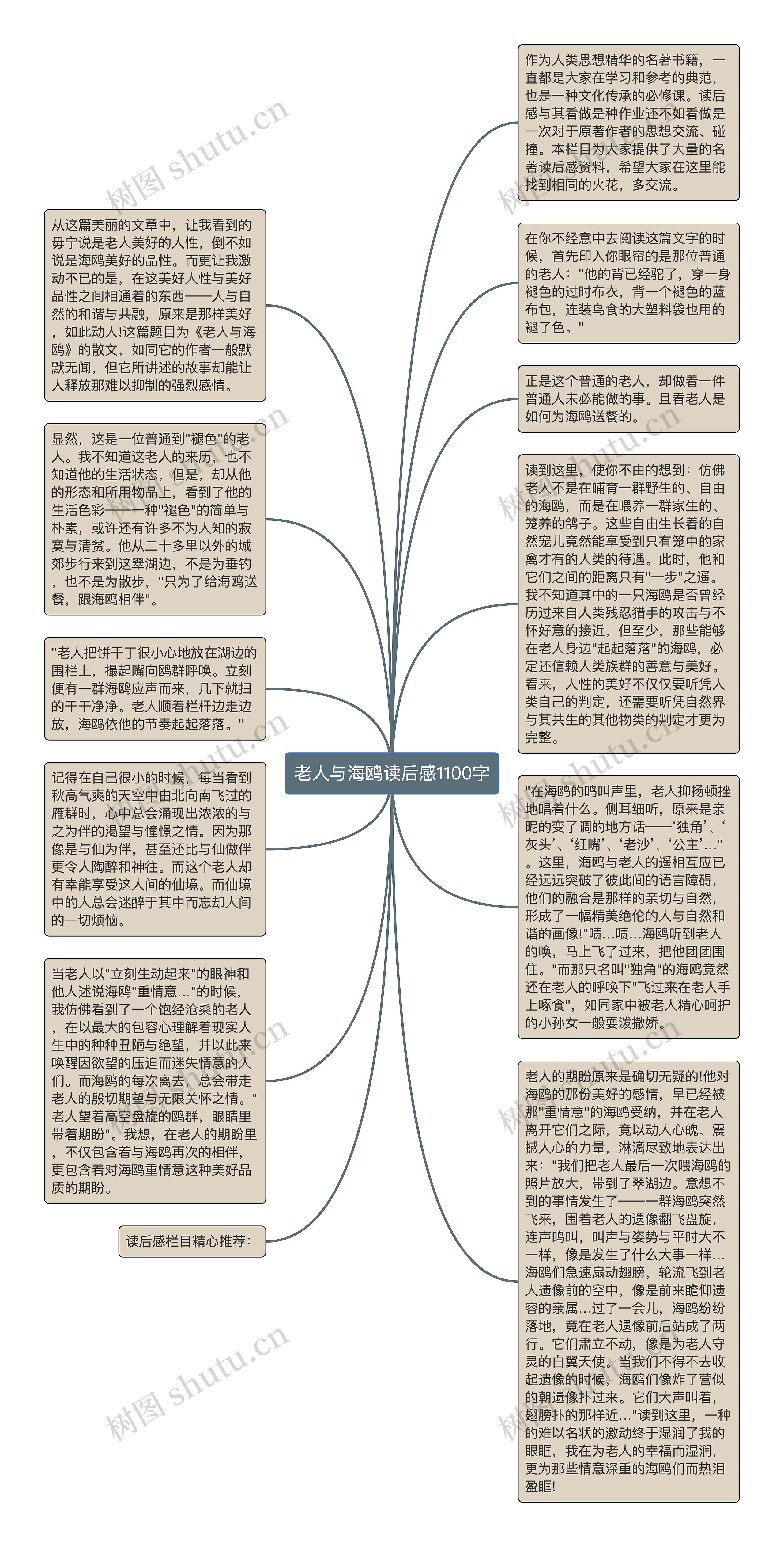 老人与海鸥读后感1100字