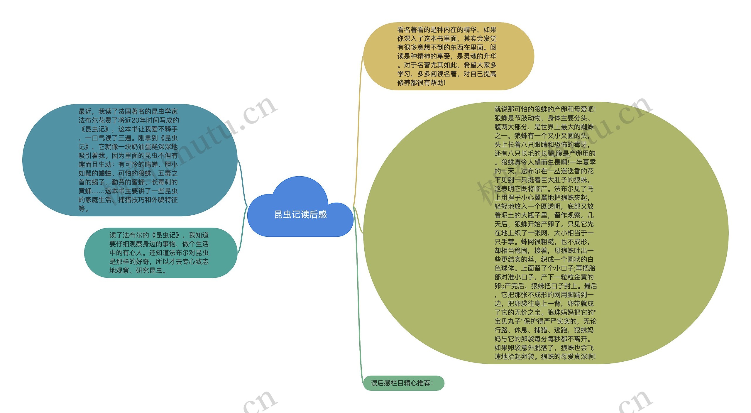 昆虫记读后感思维导图