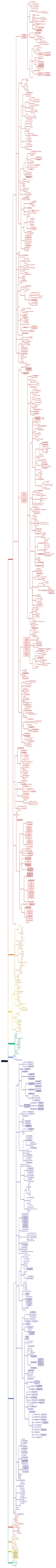 Linux C/C++后台学习路线思维导图