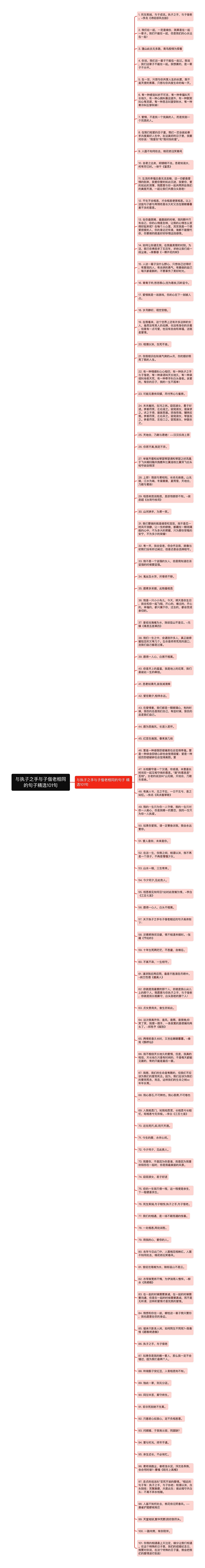 与执子之手与子偕老相同的句子精选101句思维导图