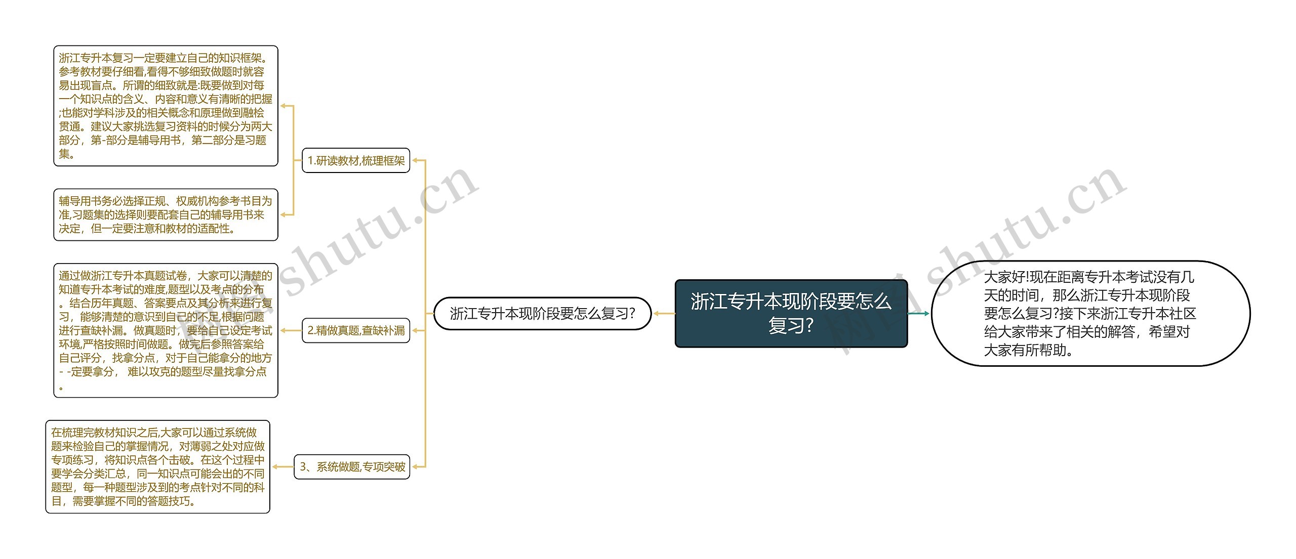 浙江专升本现阶段要怎么复习?