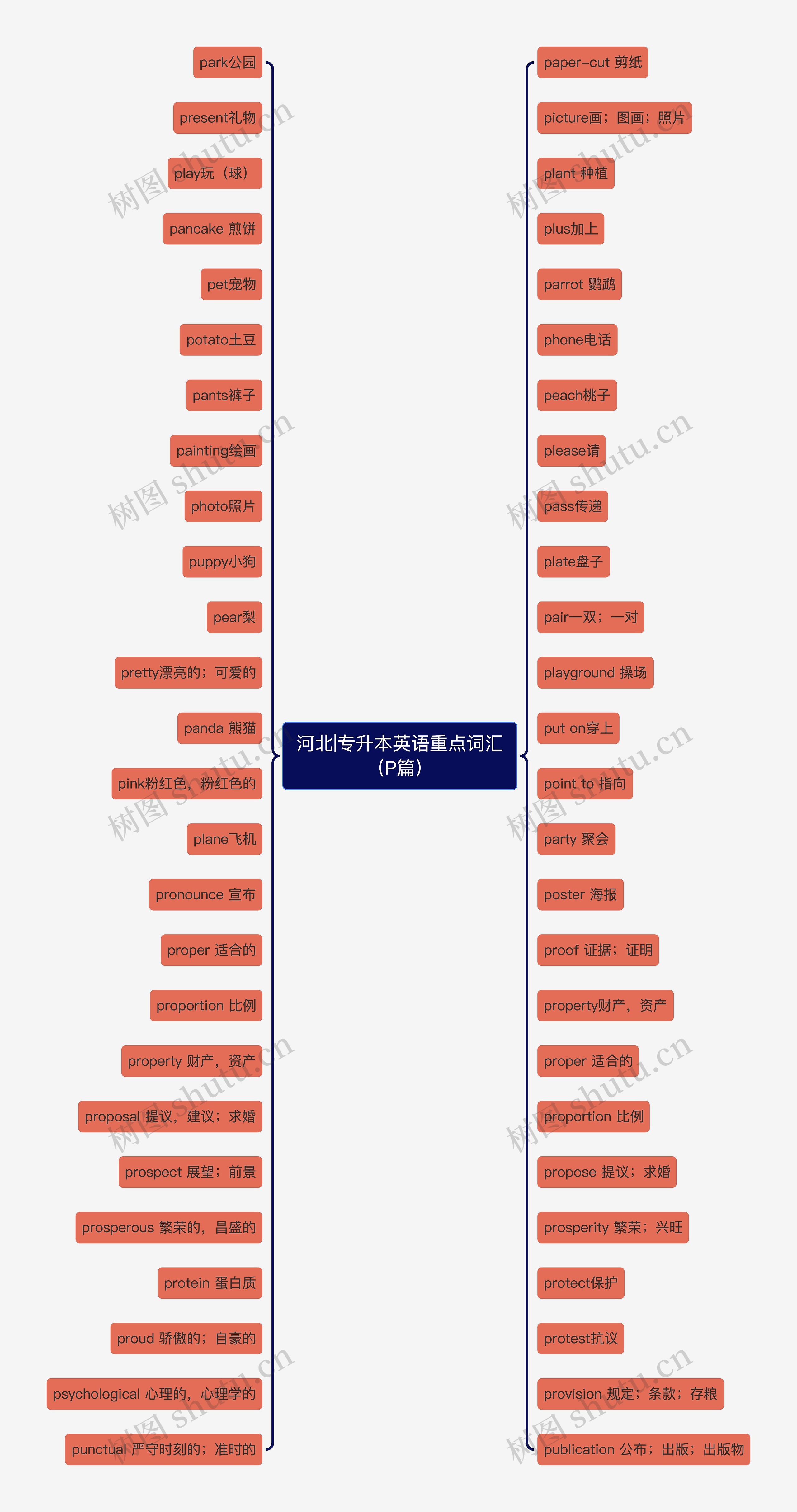 河北|专升本英语重点词汇（P篇）思维导图