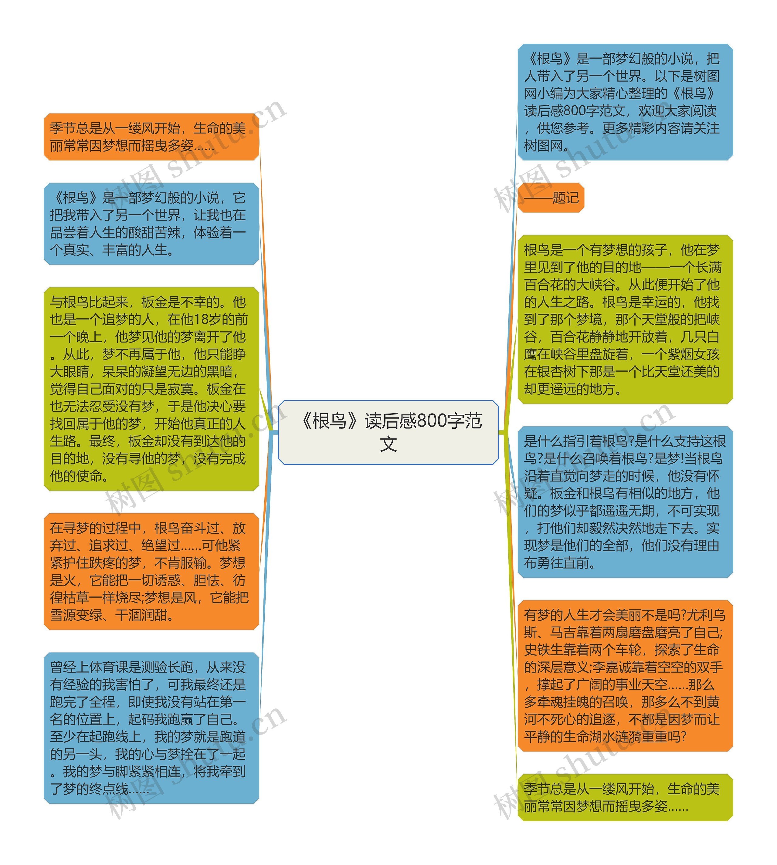 《根鸟》读后感800字范文思维导图