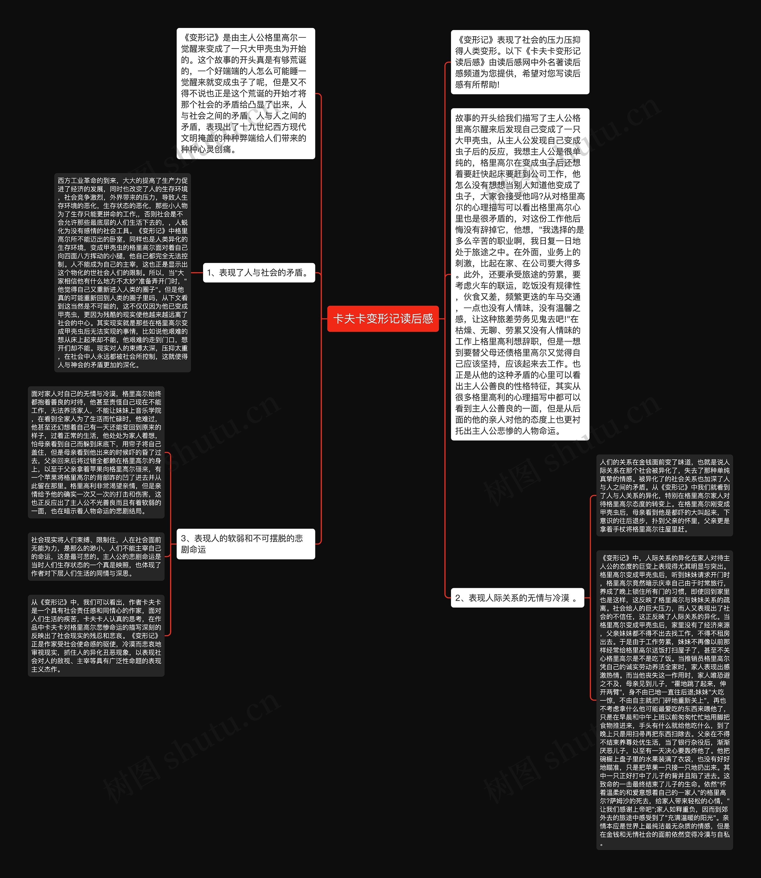卡夫卡变形记读后感思维导图