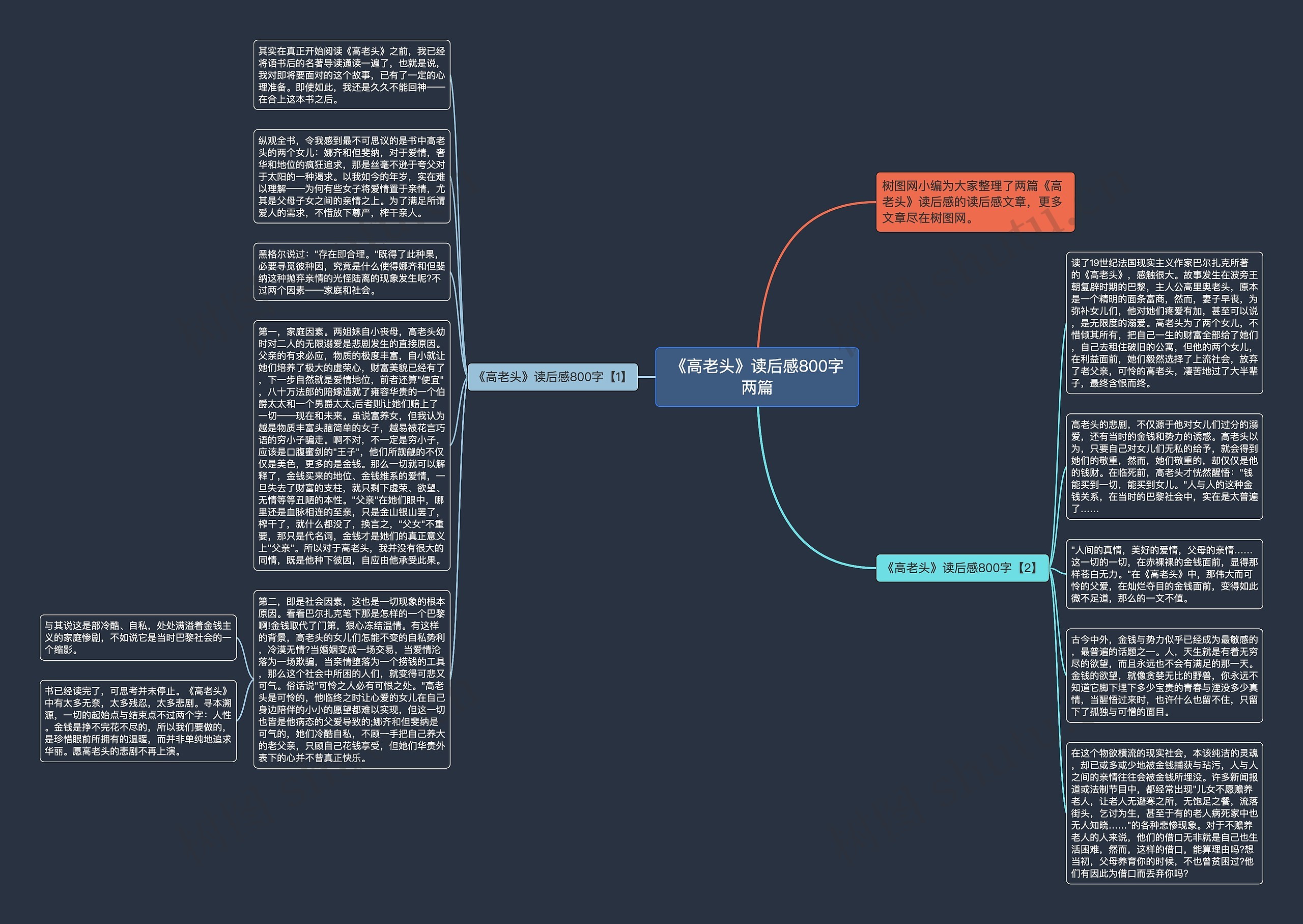 《高老头》读后感800字两篇思维导图