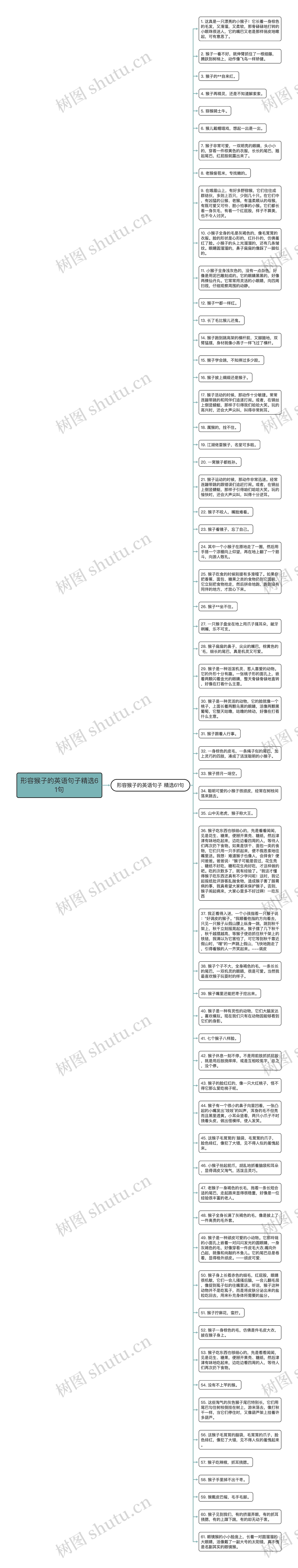 形容猴子的英语句子精选61句思维导图