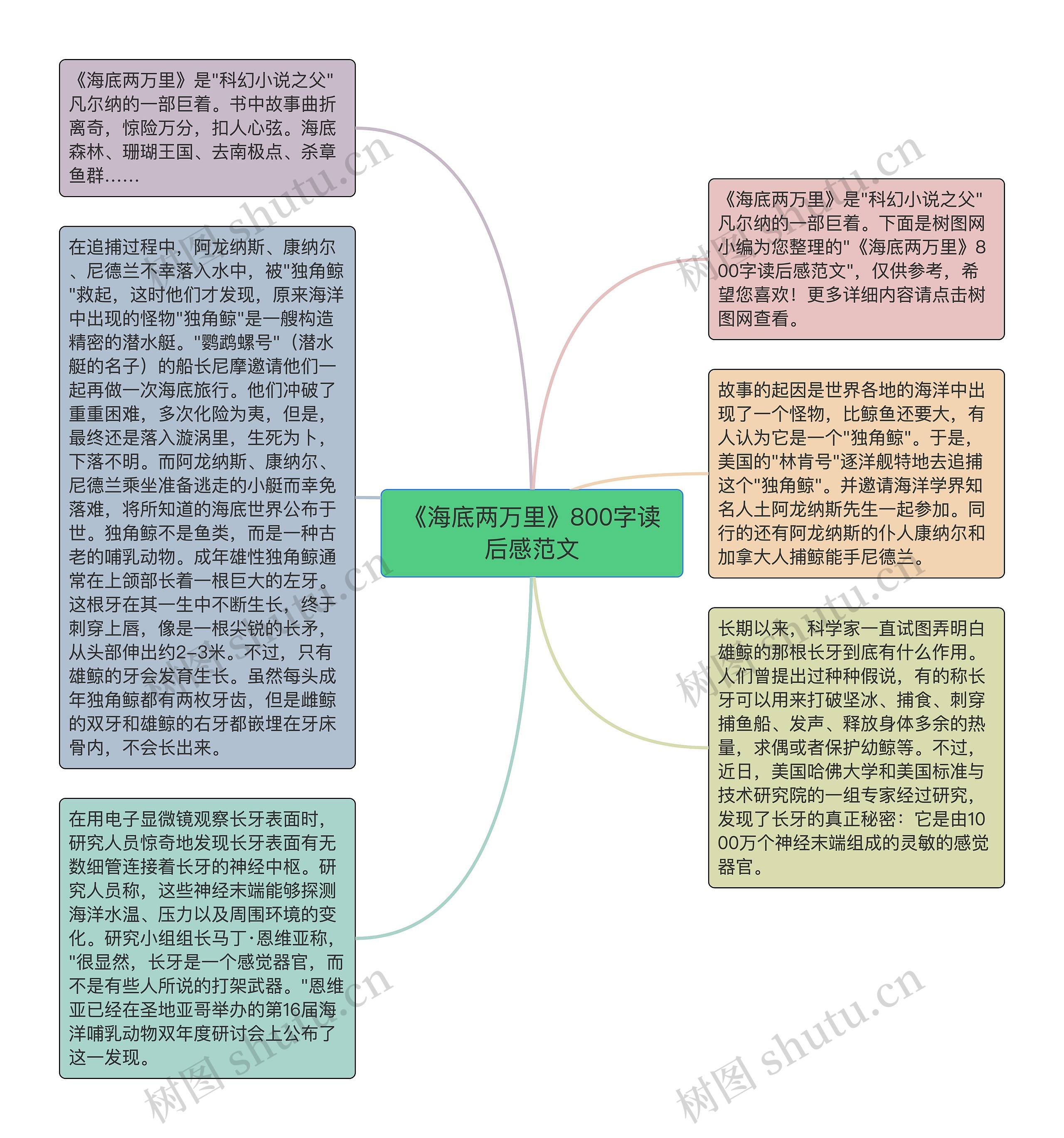 《海底两万里》800字读后感范文