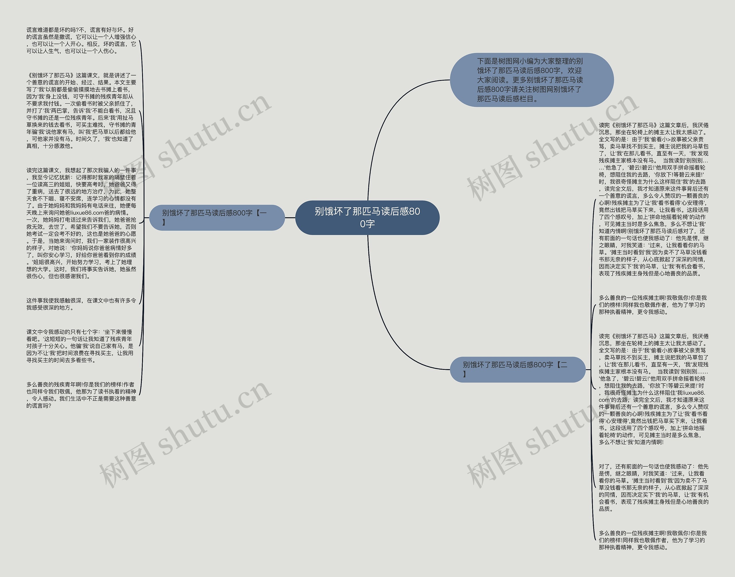 别饿坏了那匹马读后感800字思维导图