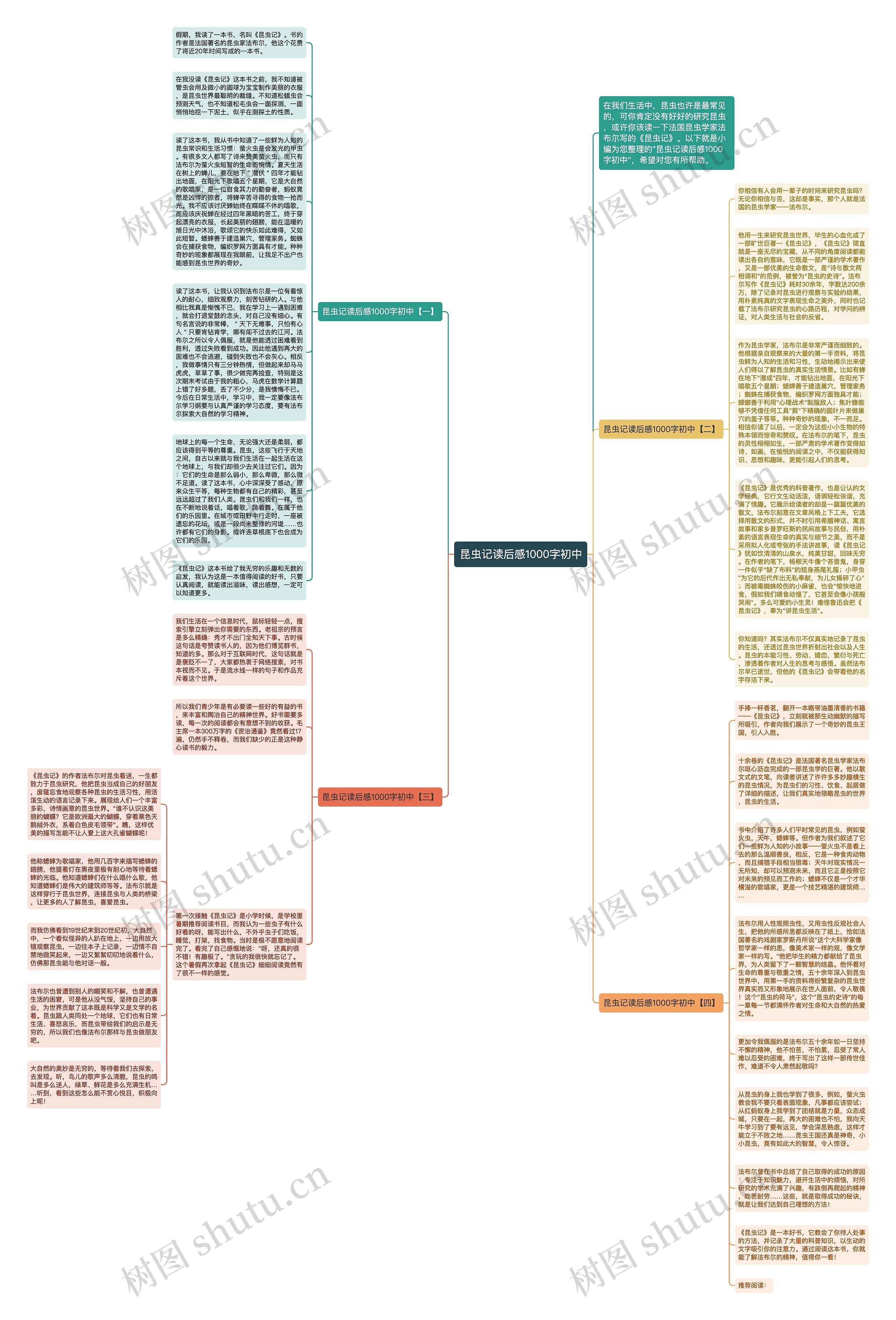 昆虫记读后感1000字初中思维导图